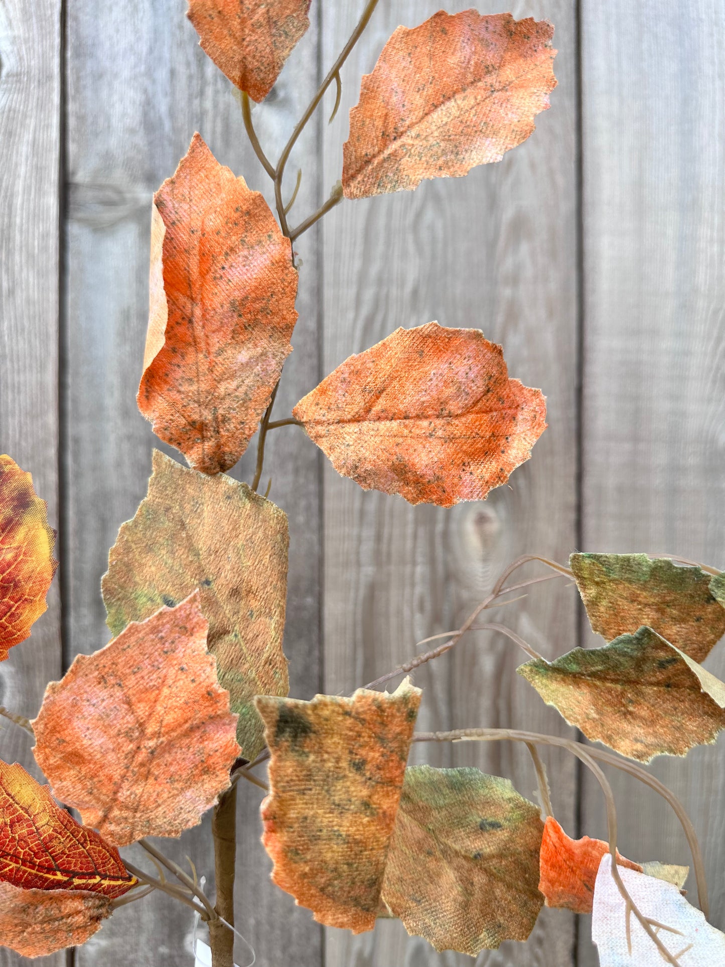 BIRCH LEAVES PICK 65188-OR