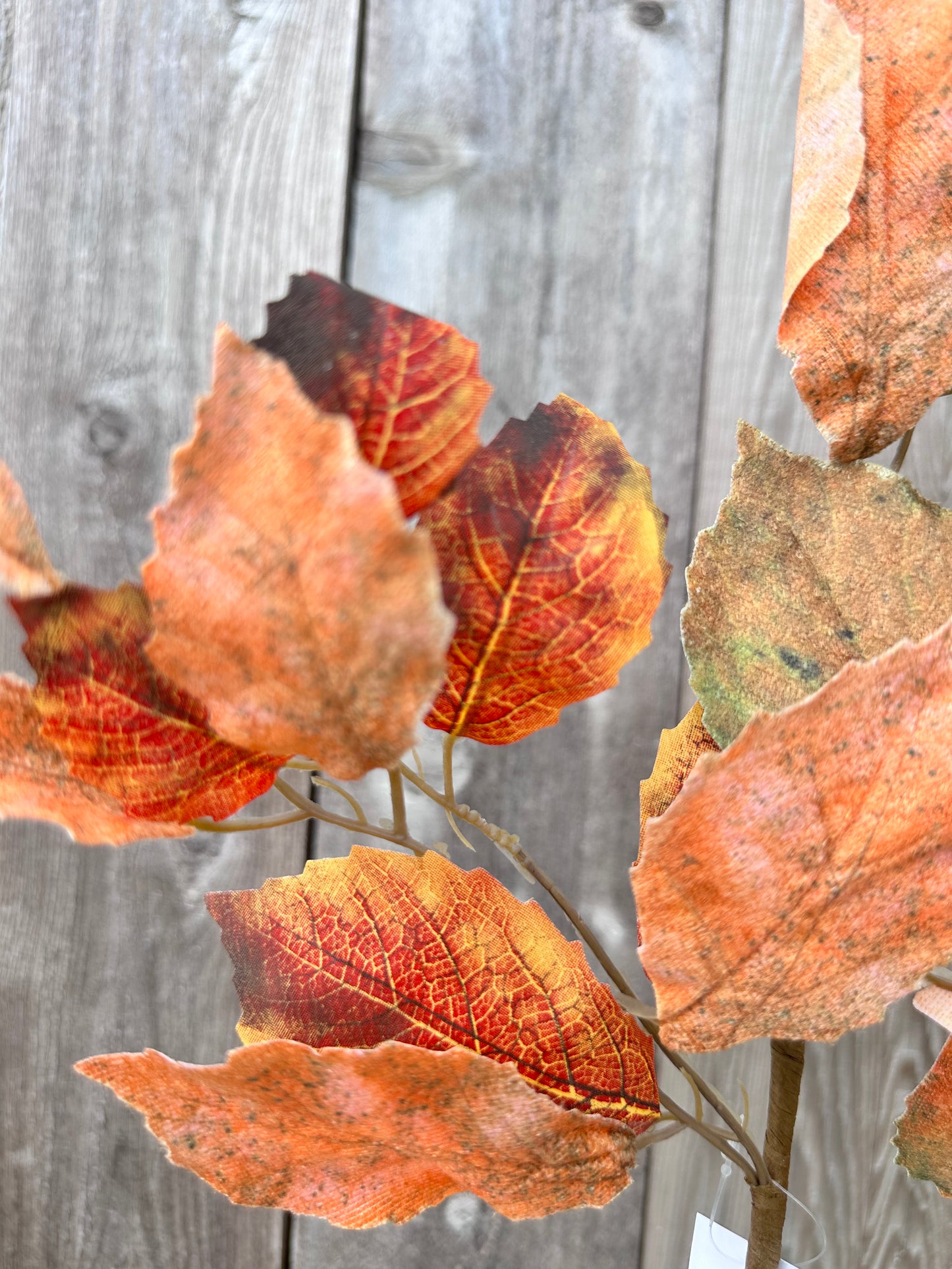 BIRCH LEAVES PICK 65188-OR