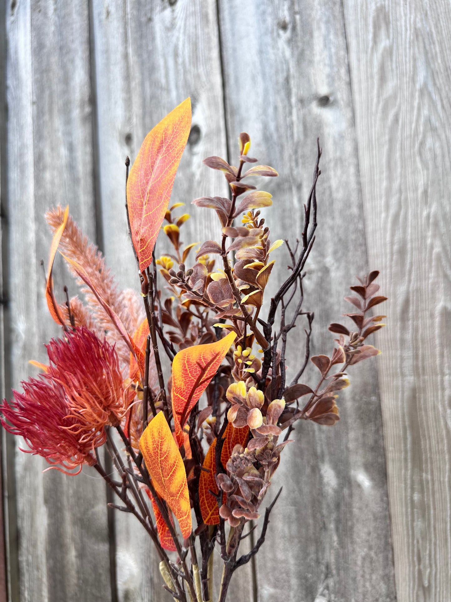 MIXED SALAL LEAF BUSH 65160
