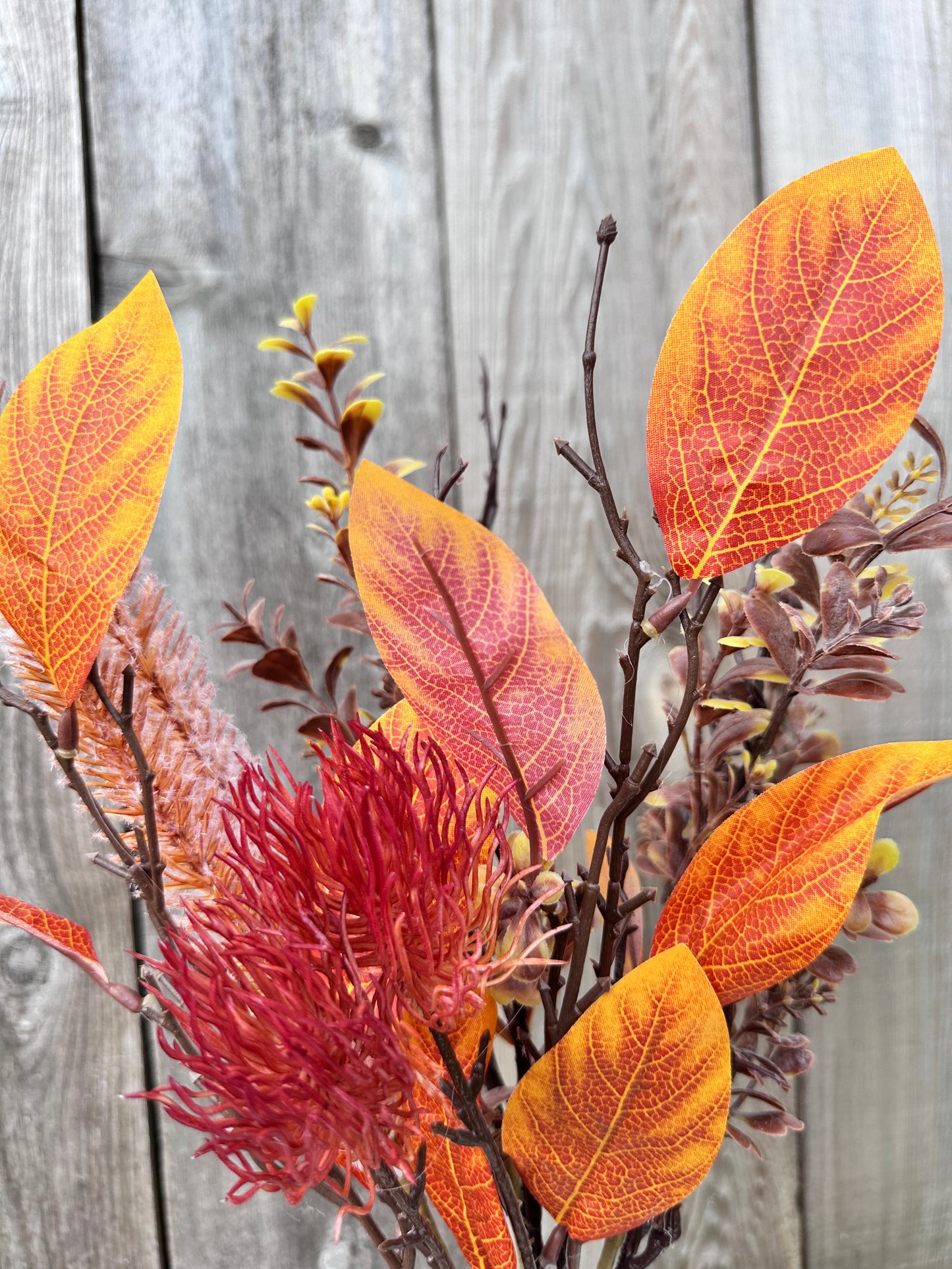 MIXED SALAL LEAF BUSH 65160