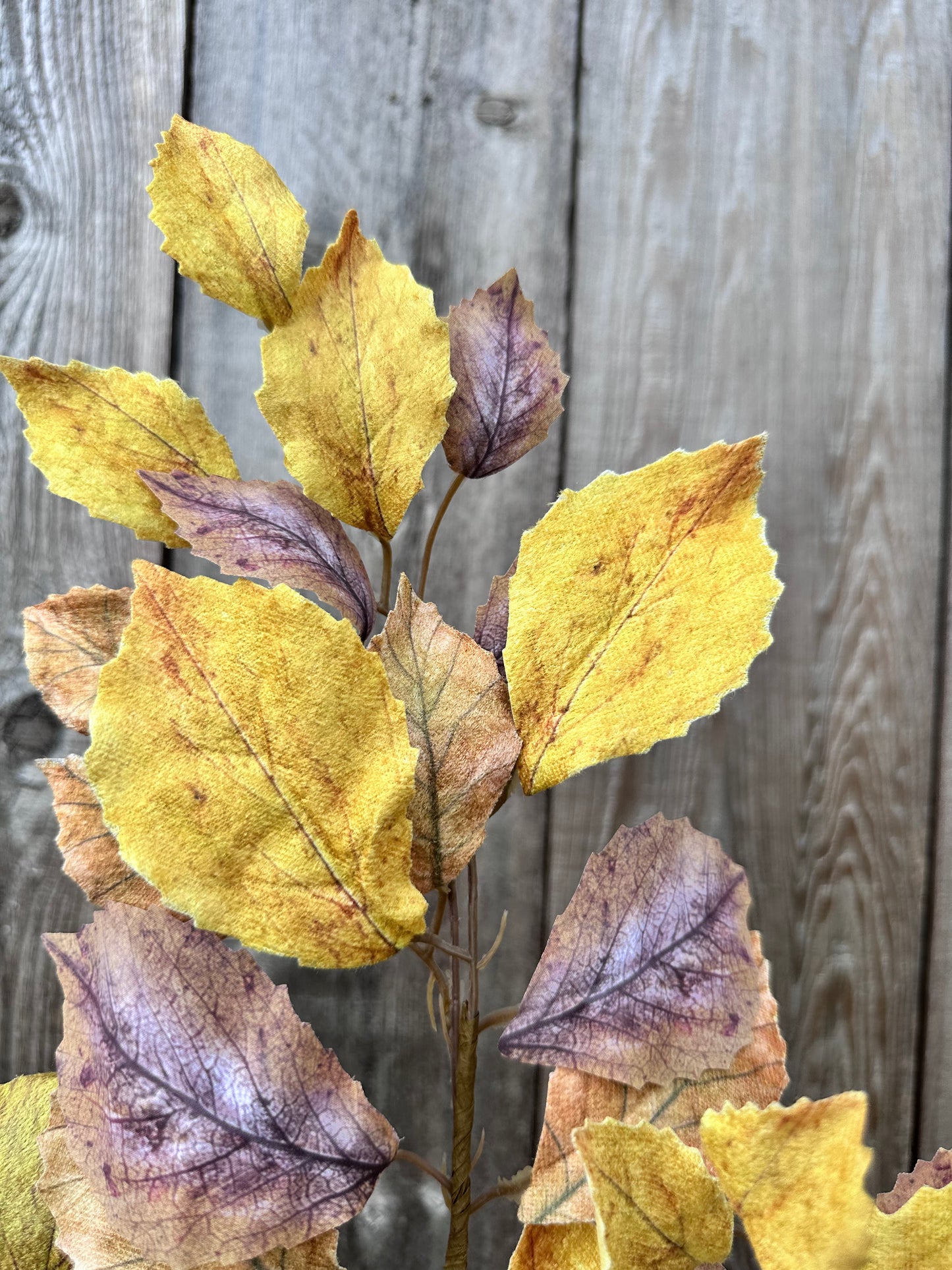 BIRCH LEAVES SPRAY 65189-YEBRN
