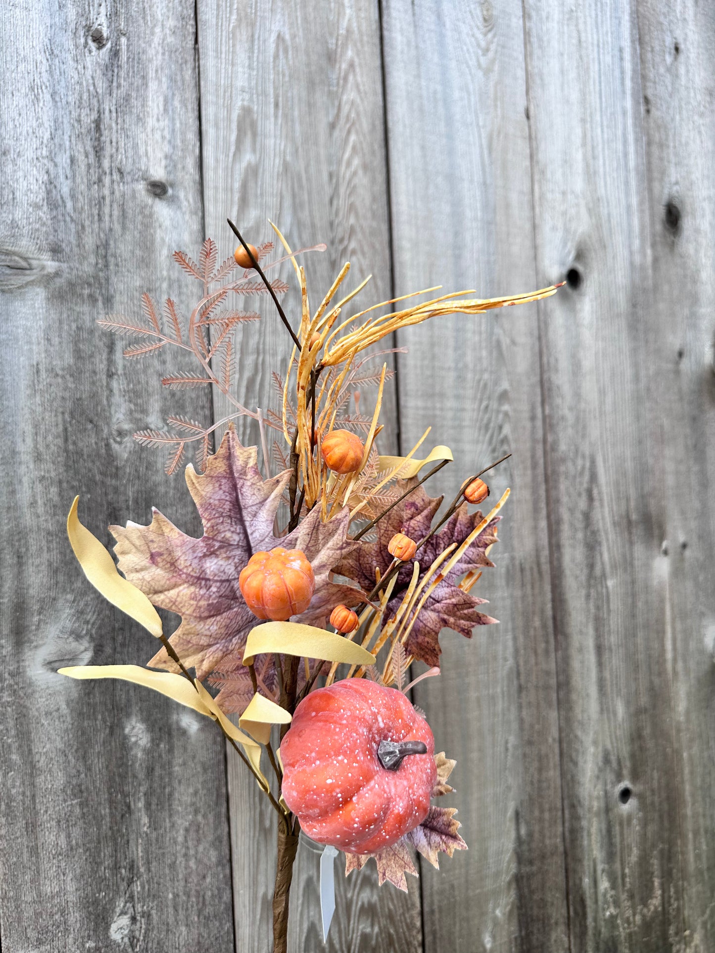 PUMPKIN MAPLE LEAVES 65196