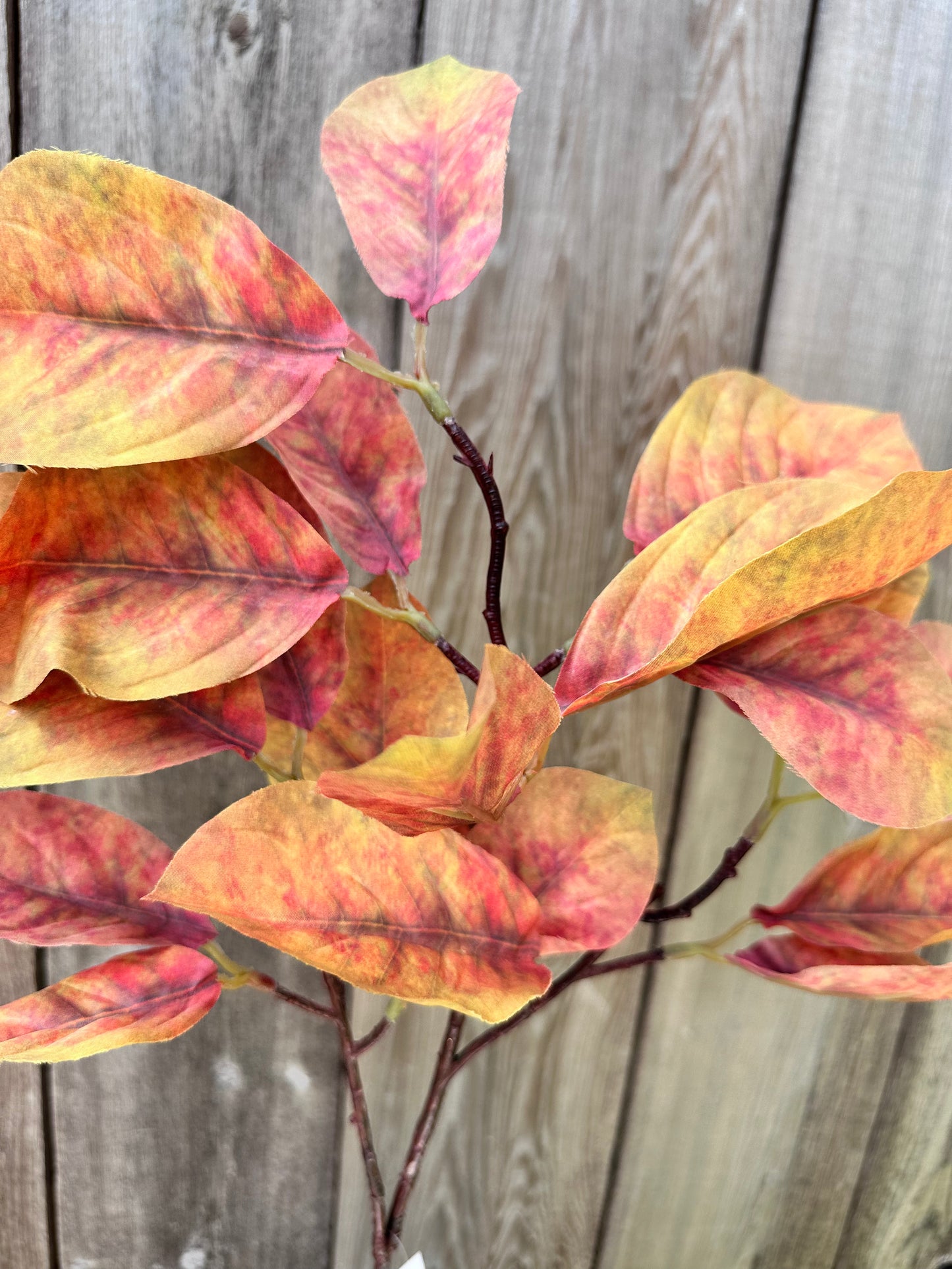 MAGNOLIA LEAF 85320-YELOR