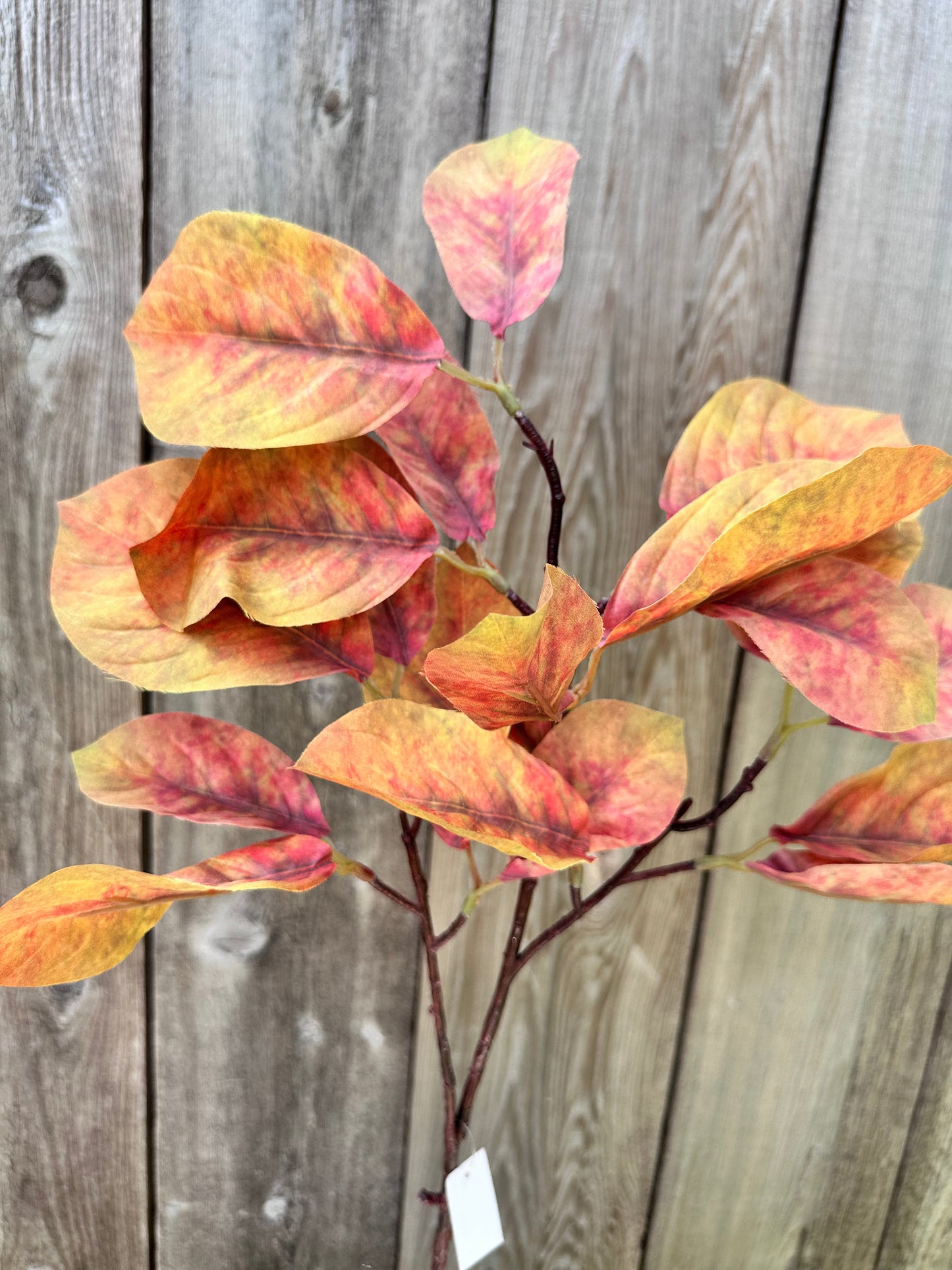 MAGNOLIA LEAF 85320-YELOR