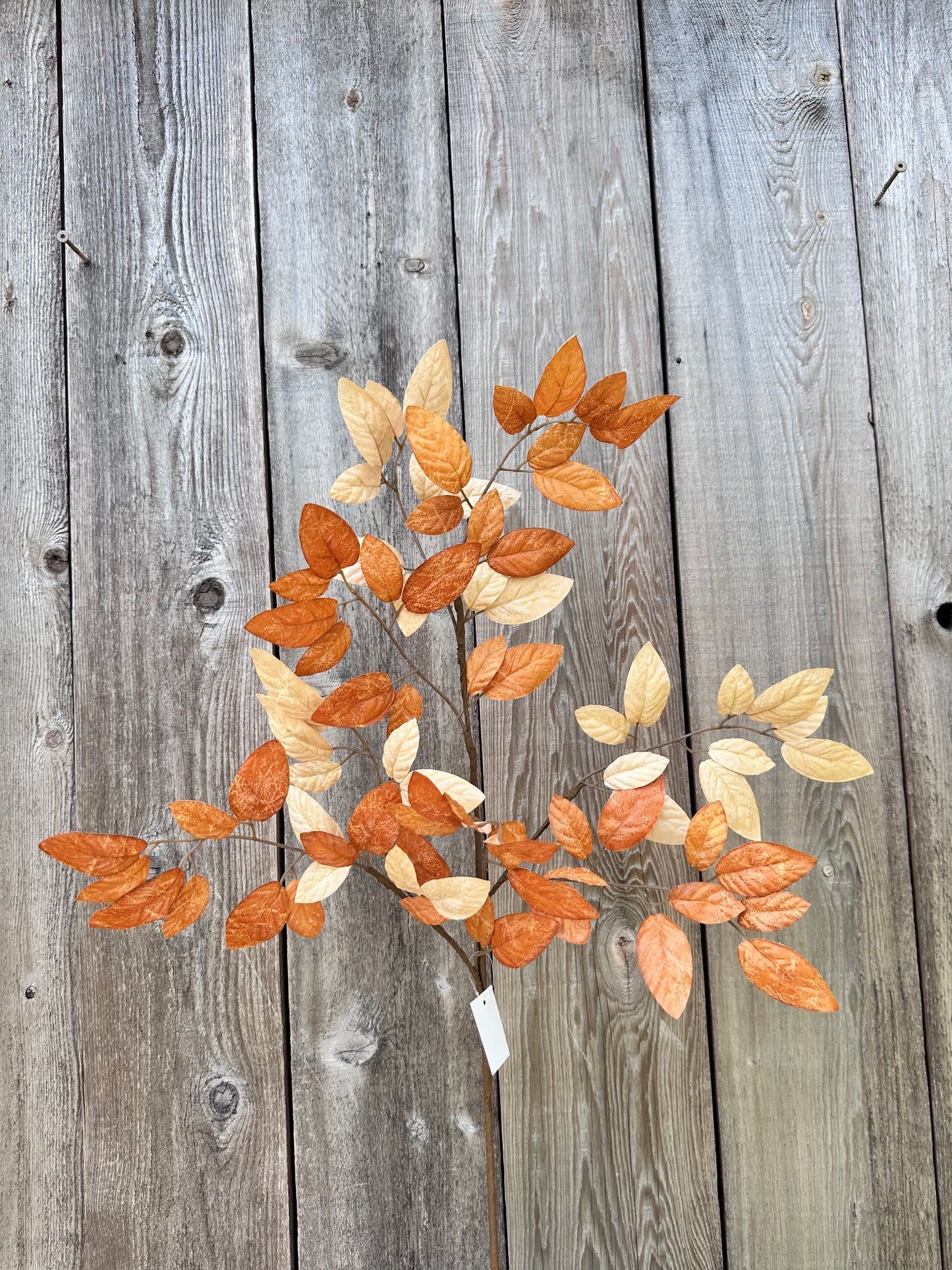 BIRCH LEAVES SPRAY 65210-BEBRN