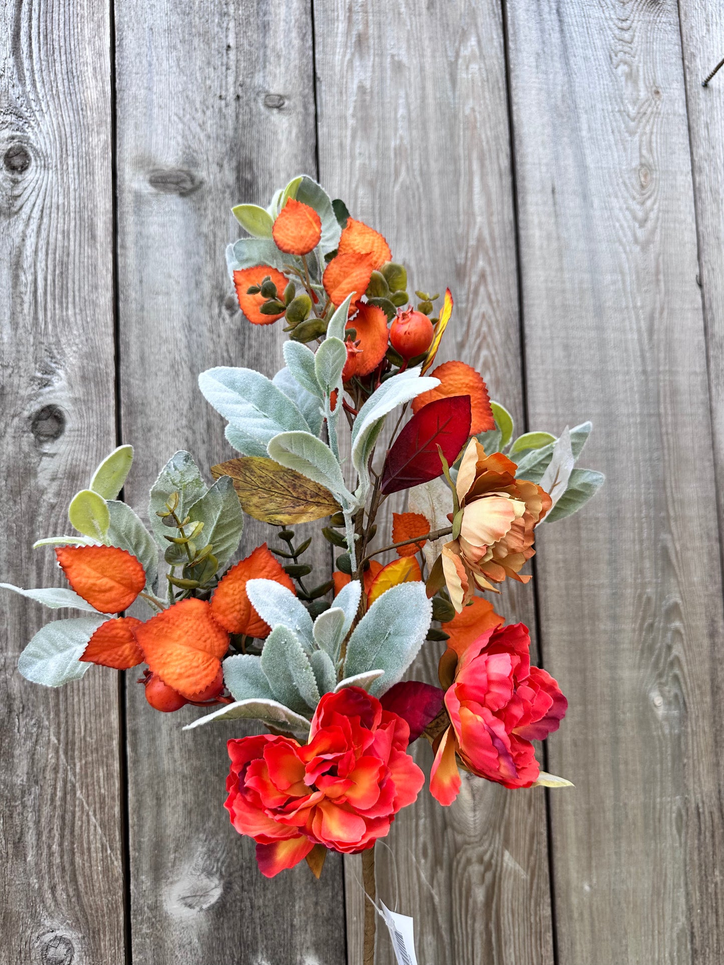 MIXED FALL FOLIAGE 65207