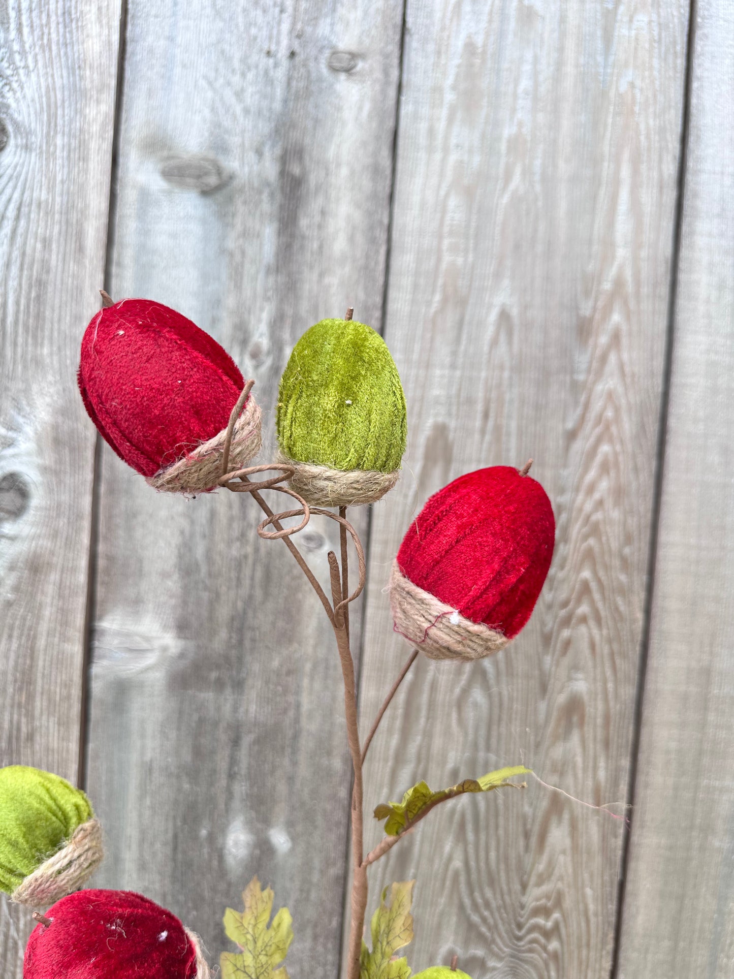 VELVET ACORN SPRAY 65152-BGGN