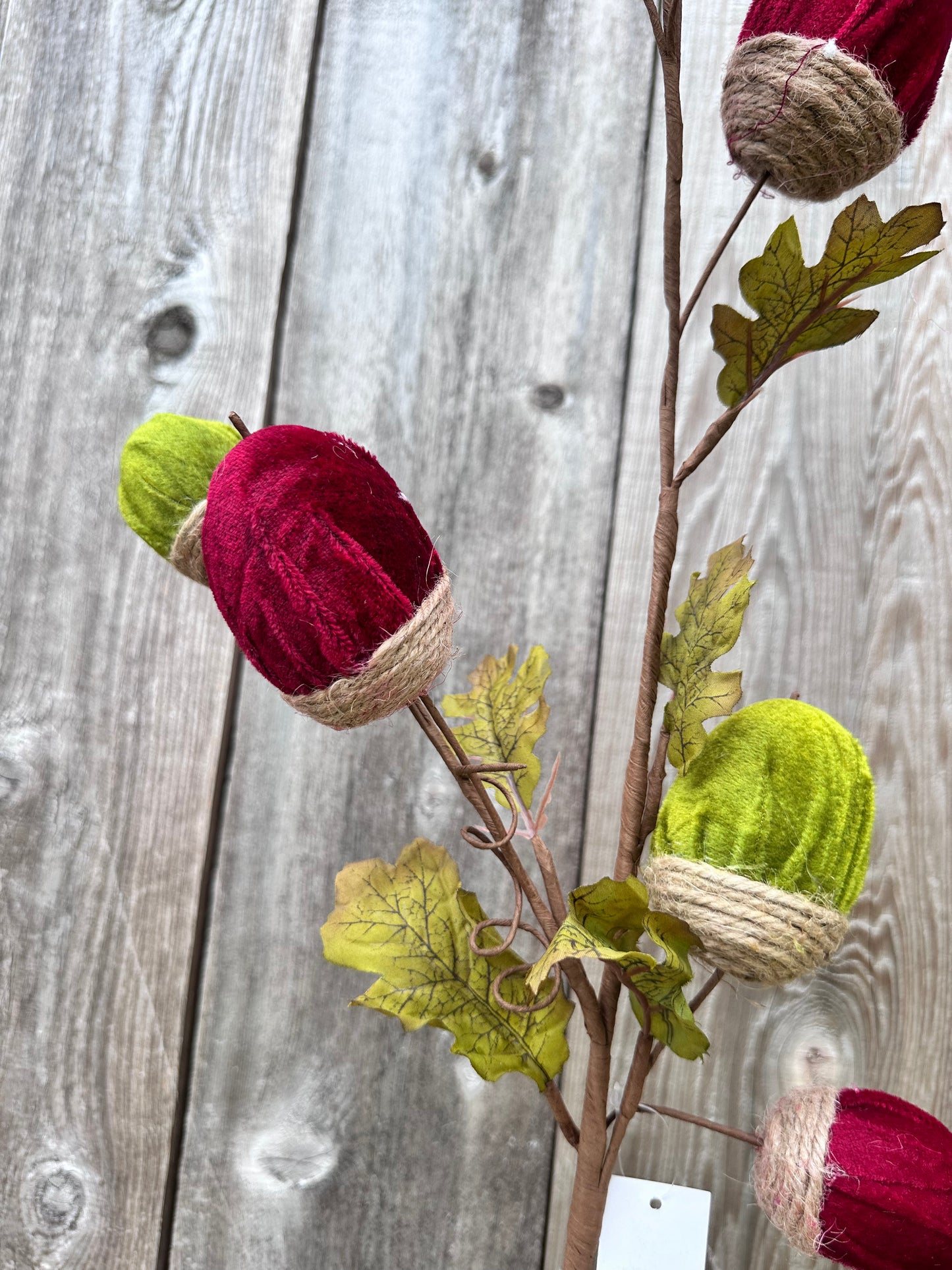 VELVET ACORN SPRAY 65152-BGGN