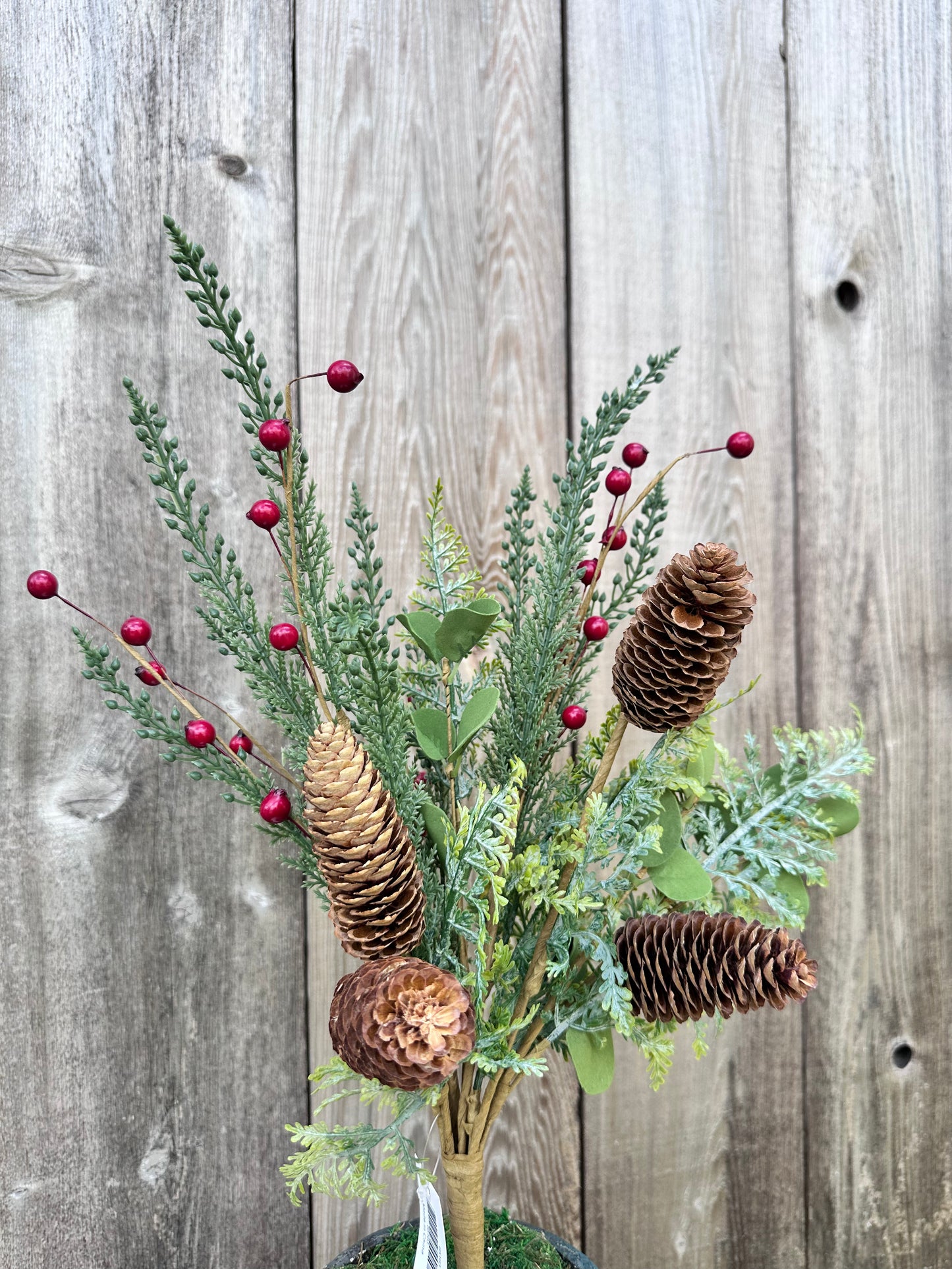 PINE PINECONE BERRY 65163