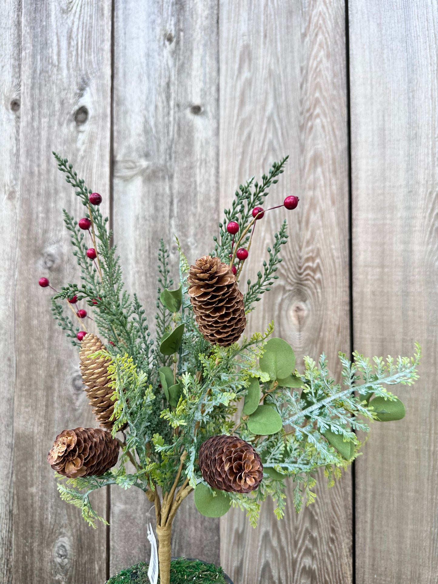 PINE PINECONE BERRY 65163