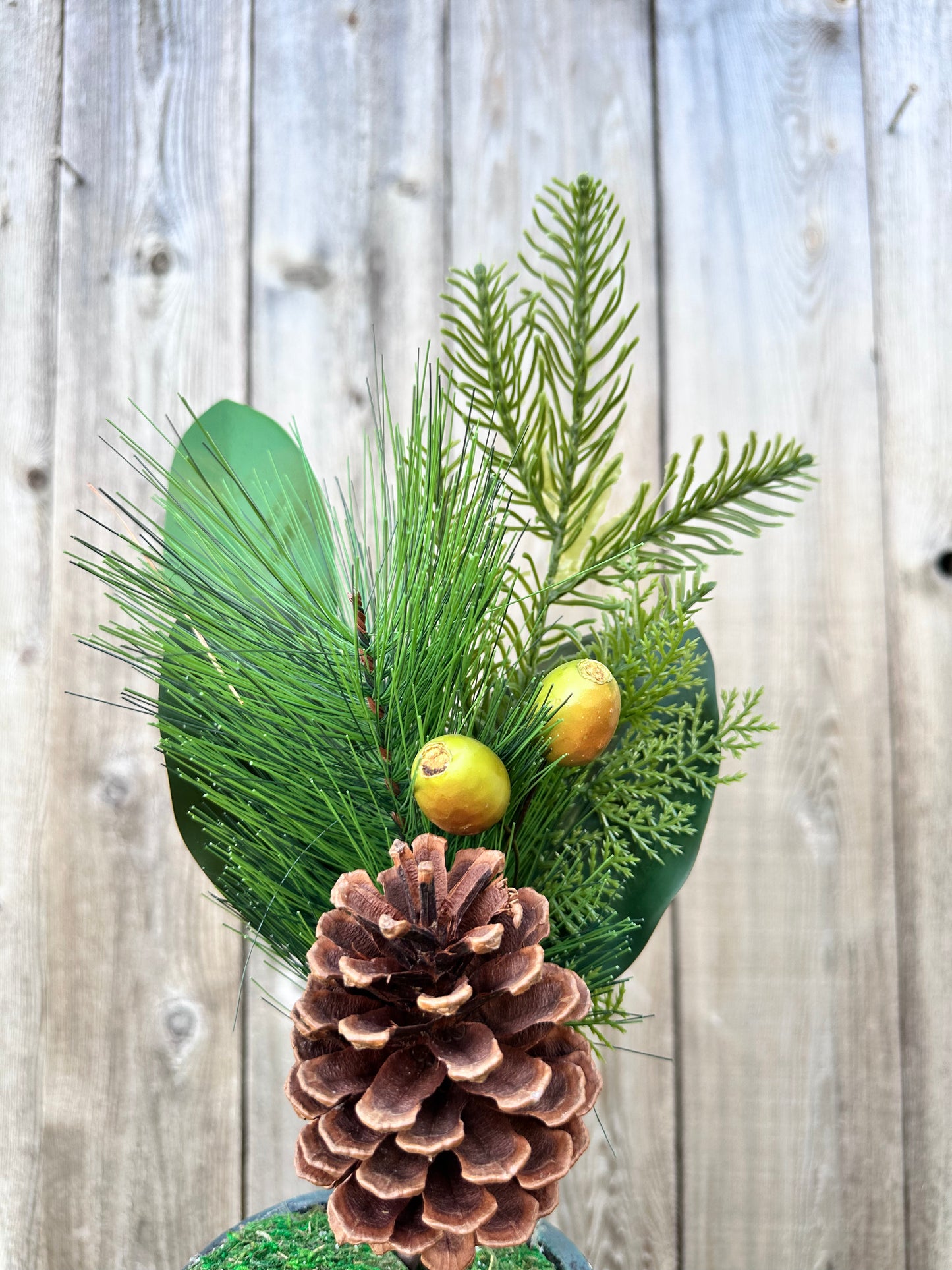 Evergreen needle pines w.rosehips, 31765