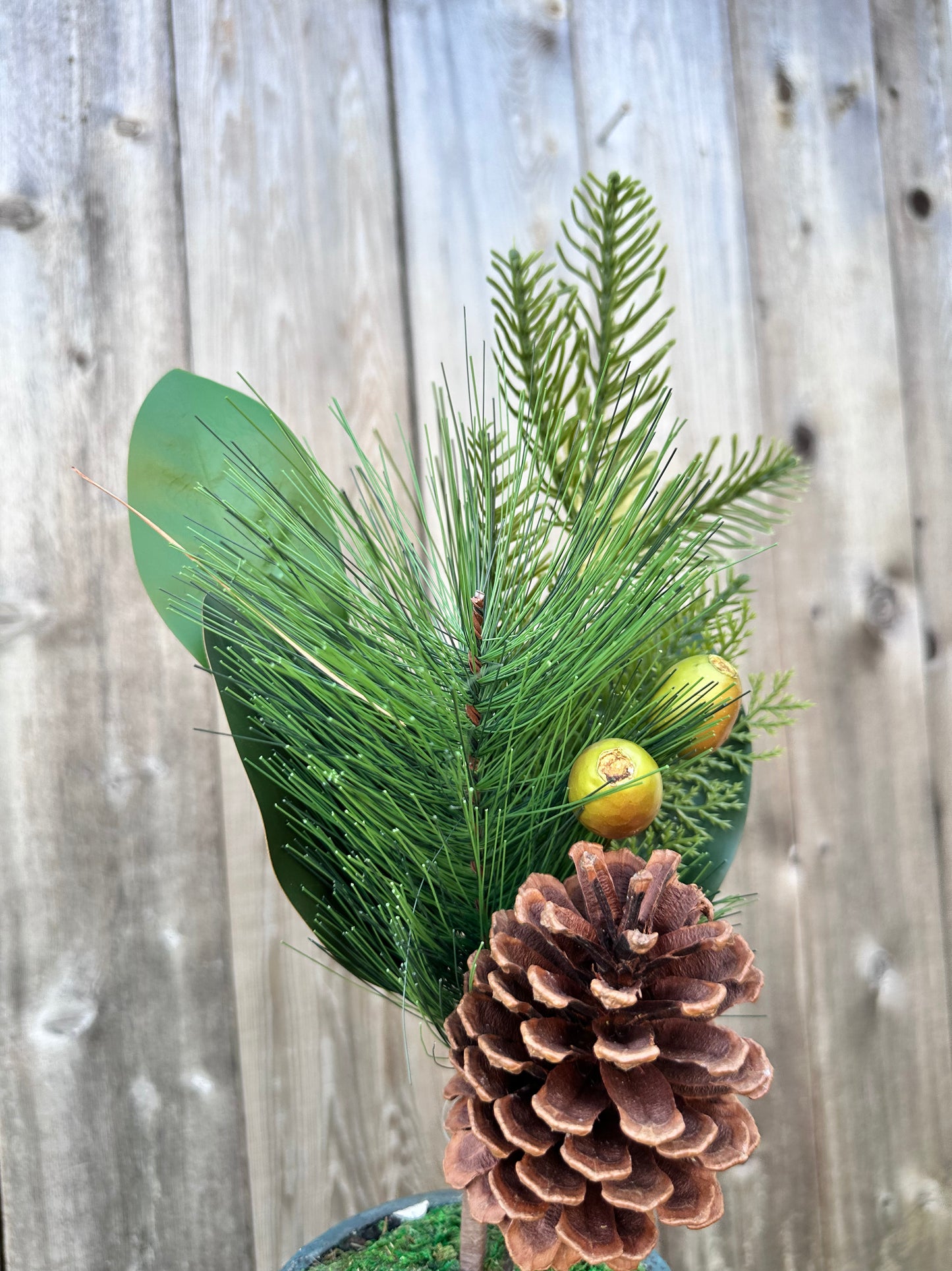 Evergreen needle pines w.rosehips, 31765