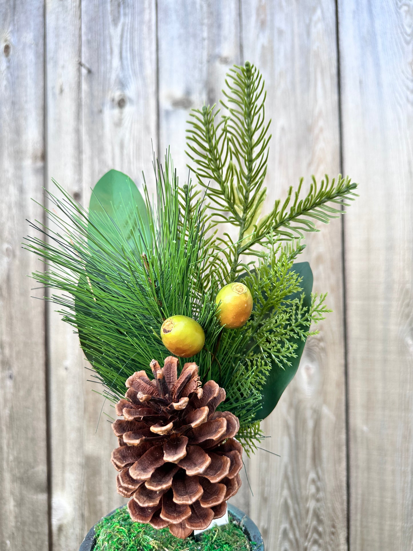 Evergreen needle pines w.rosehips, 31765