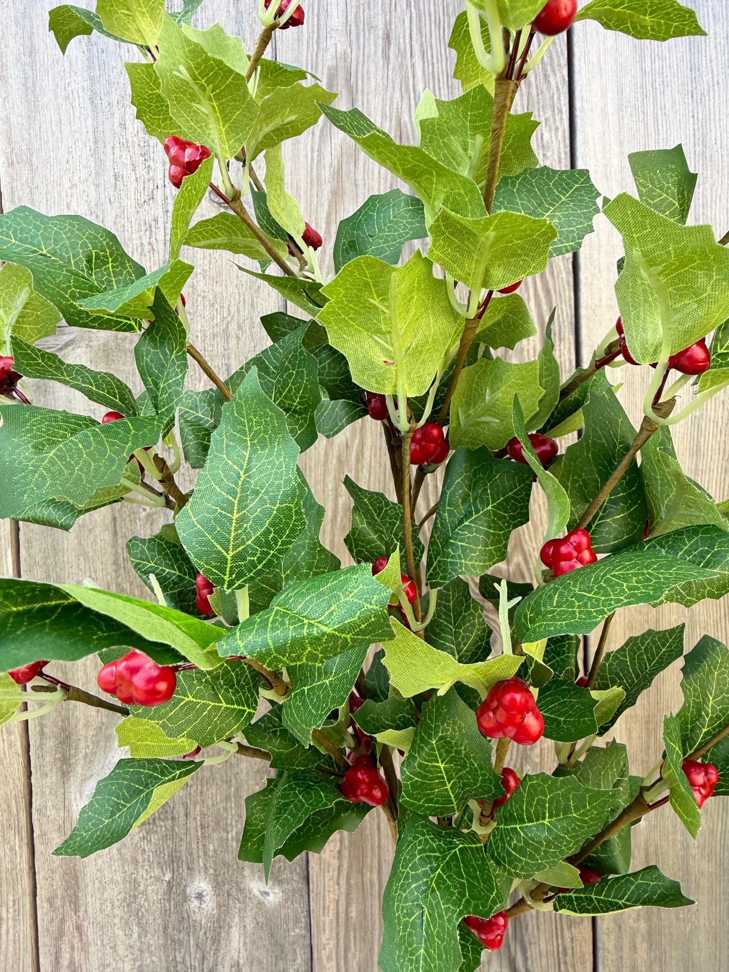 Berry Lvs Spray H28 86818RDGN