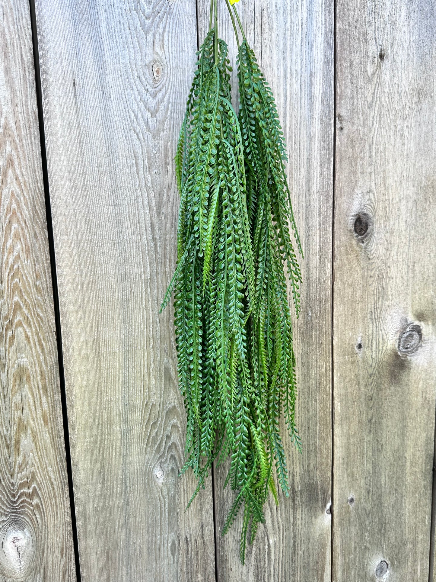 Plastic Lvs Hanging Bush 13661GN