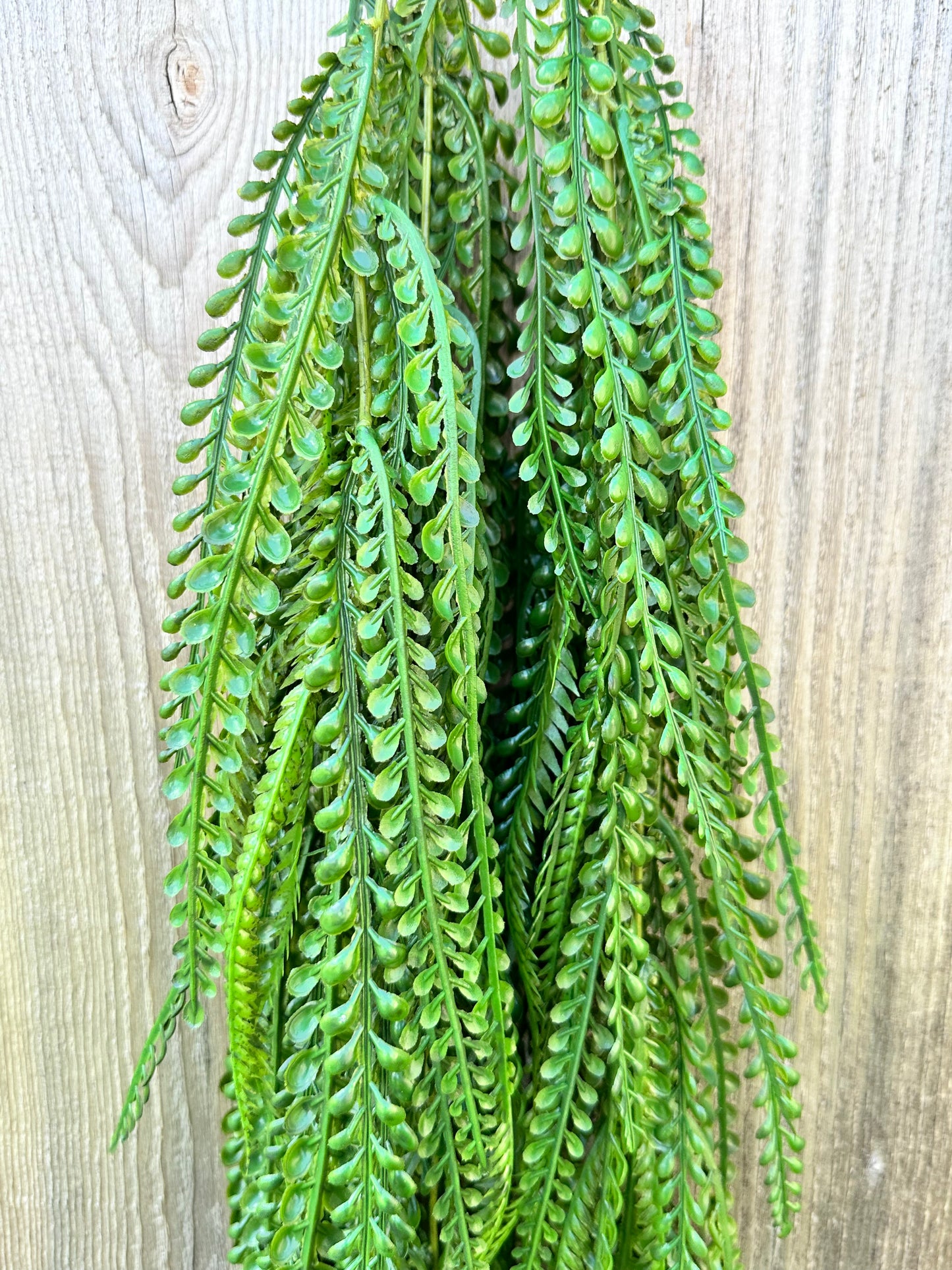 Plastic Lvs Hanging Bush 13661GN