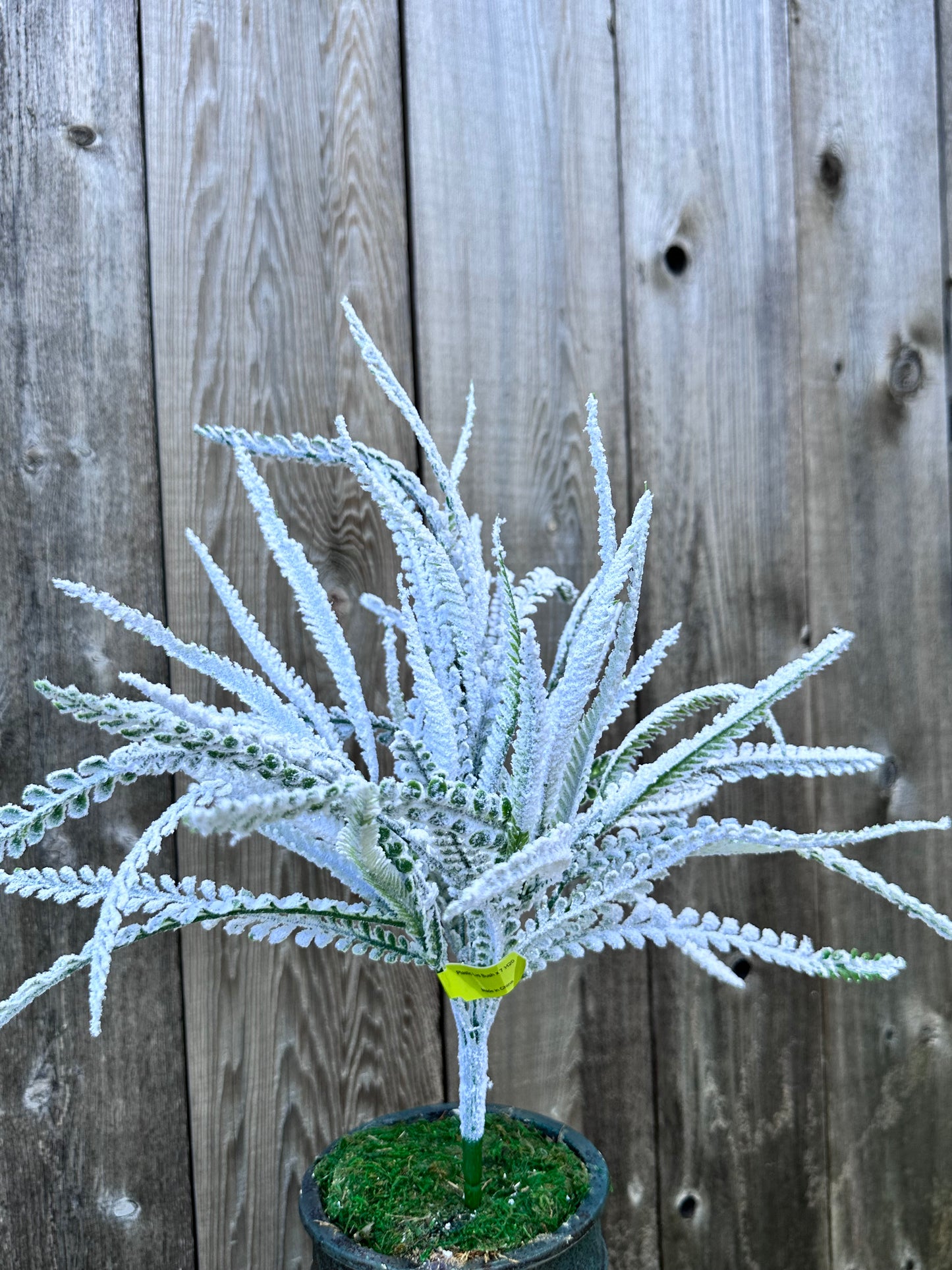 Plastic Lvs Bush 86616SNOW