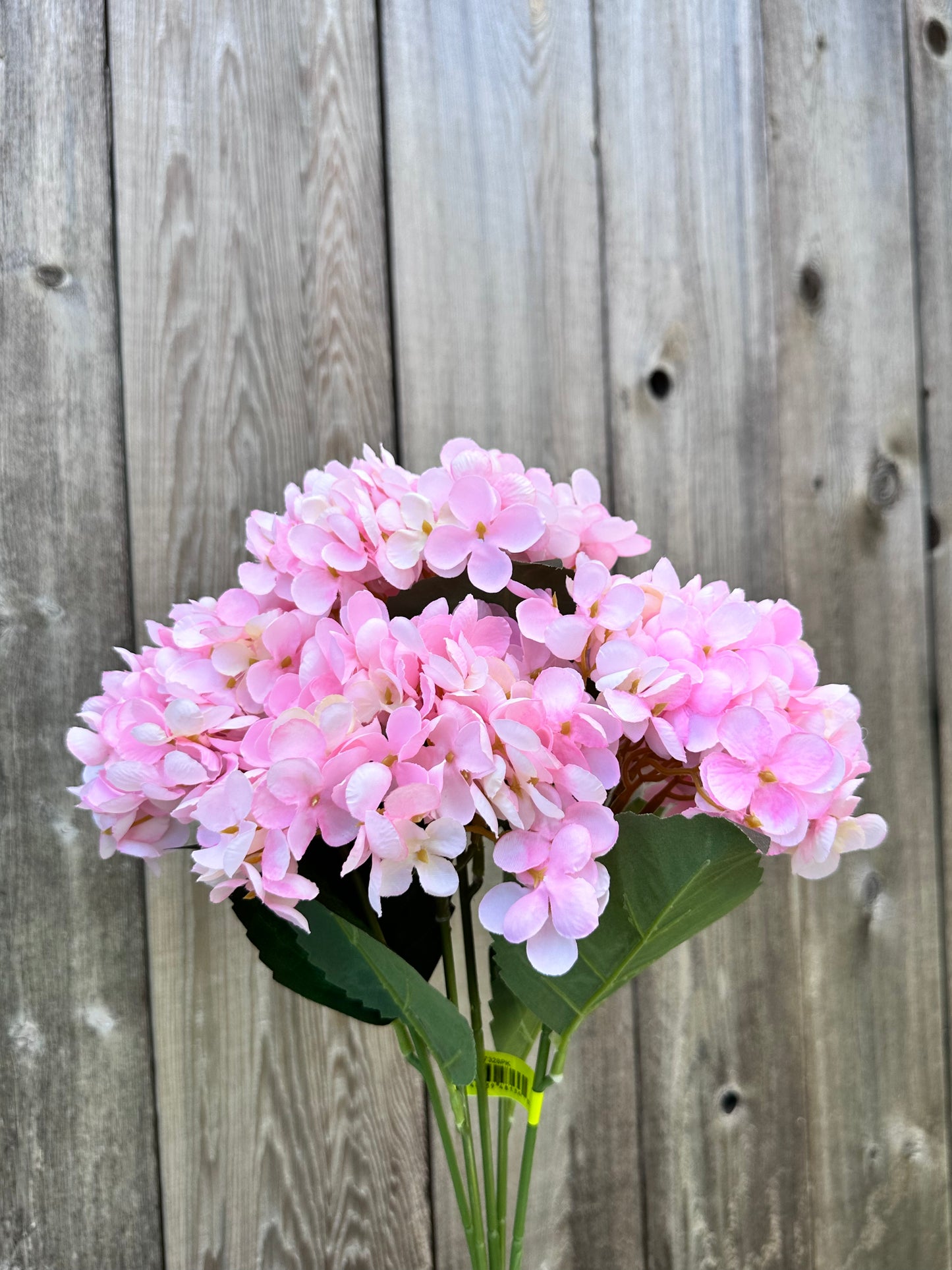 Hydrangea Bush 57328PK