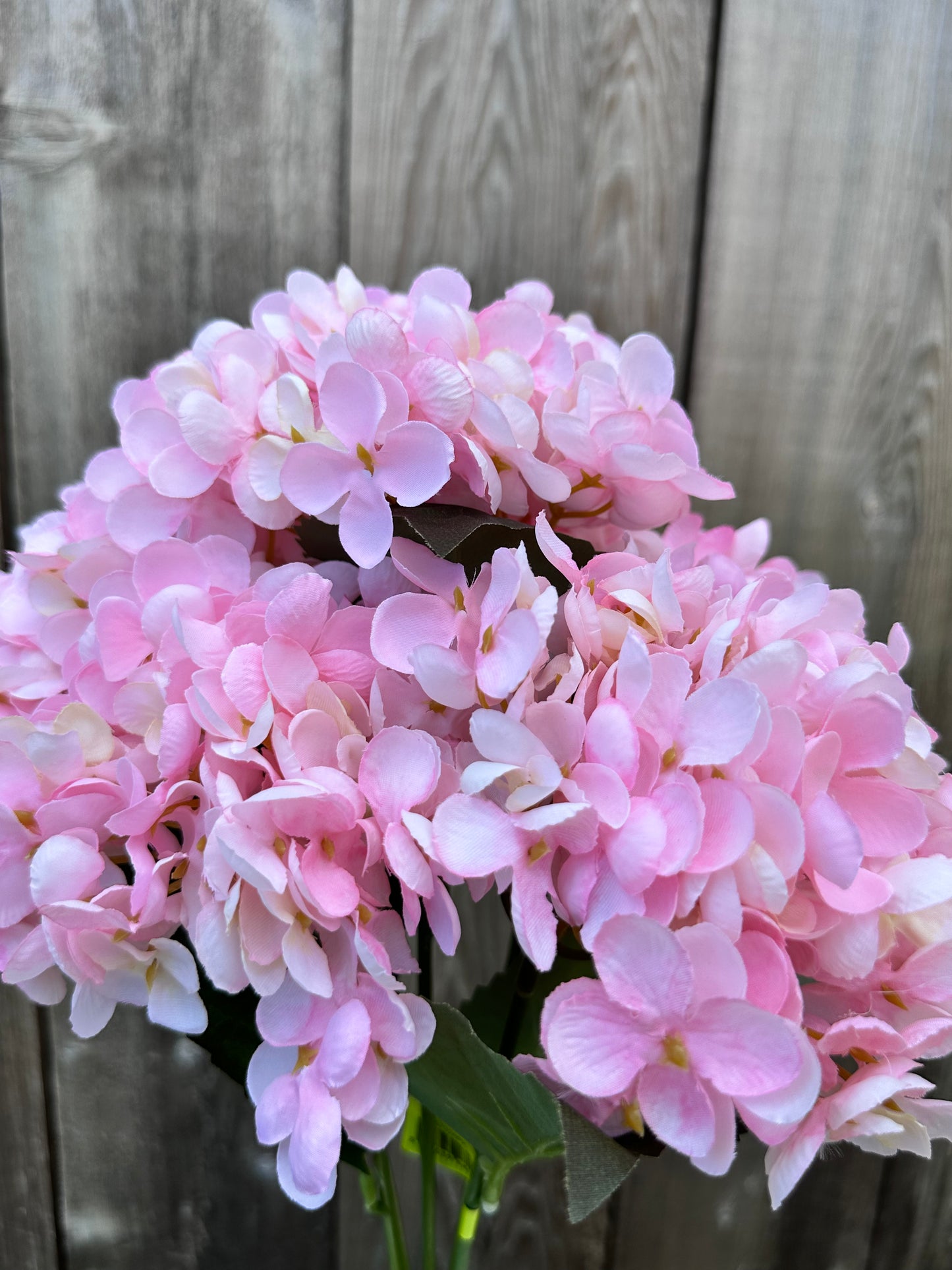 Hydrangea Bush 57328PK
