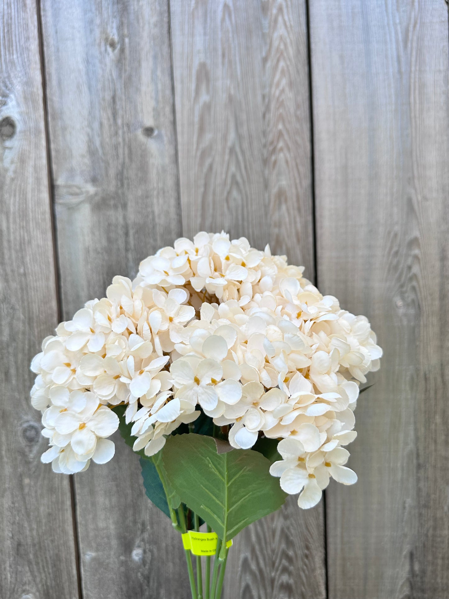 Hydrangea Bush 57328BE