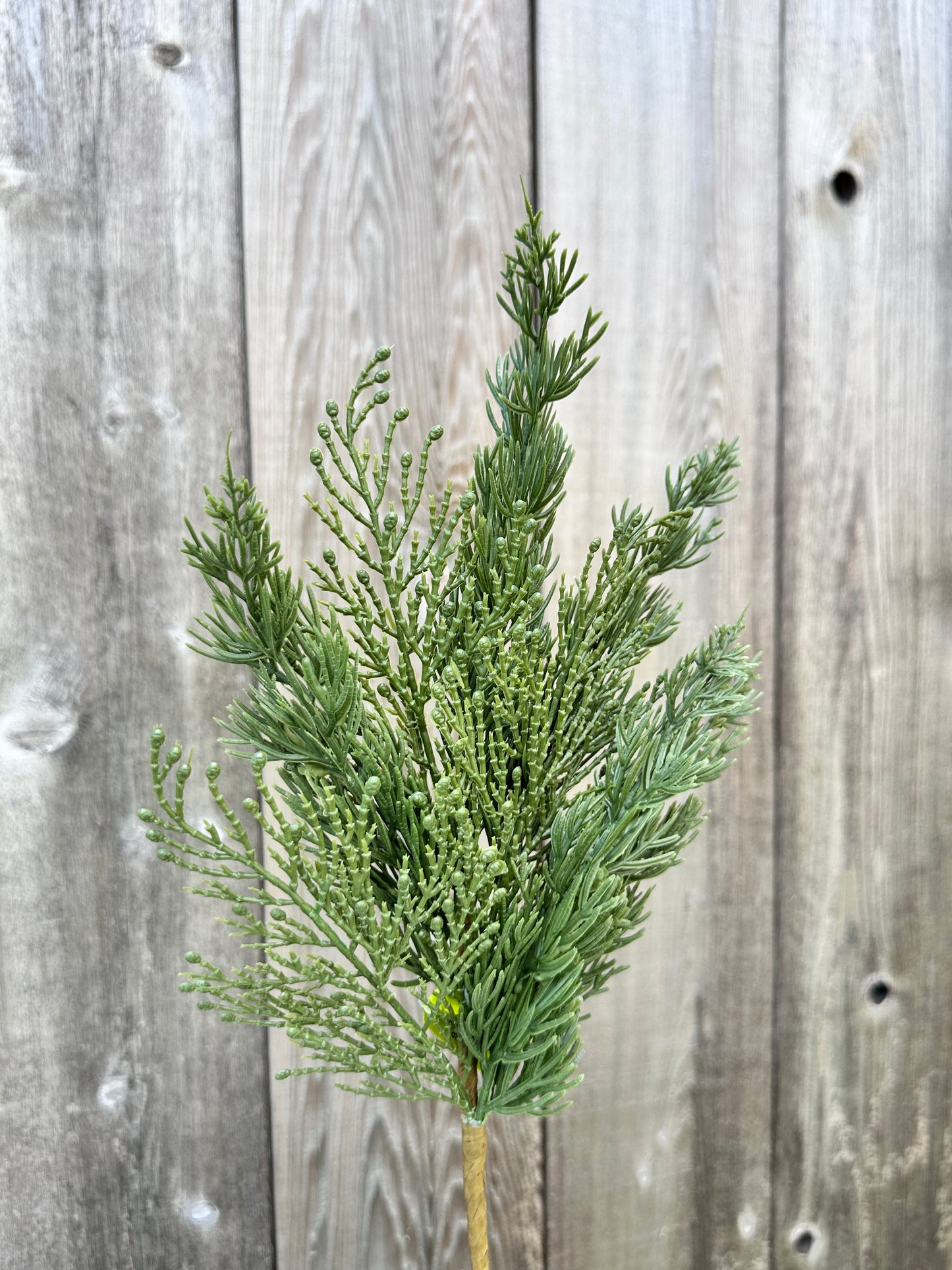 Cypress Pick H16 86309SP16