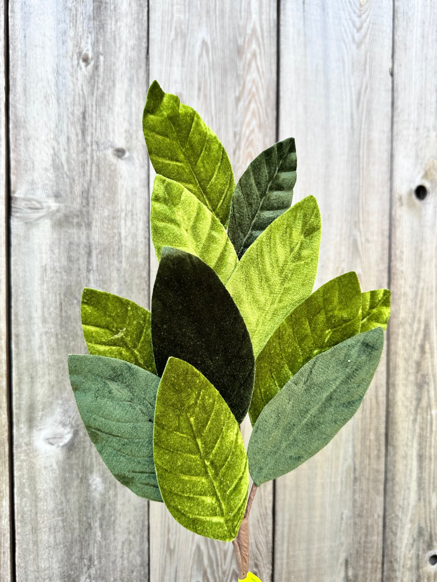 Velvet Magnolia Leaf Spray 84602SP25