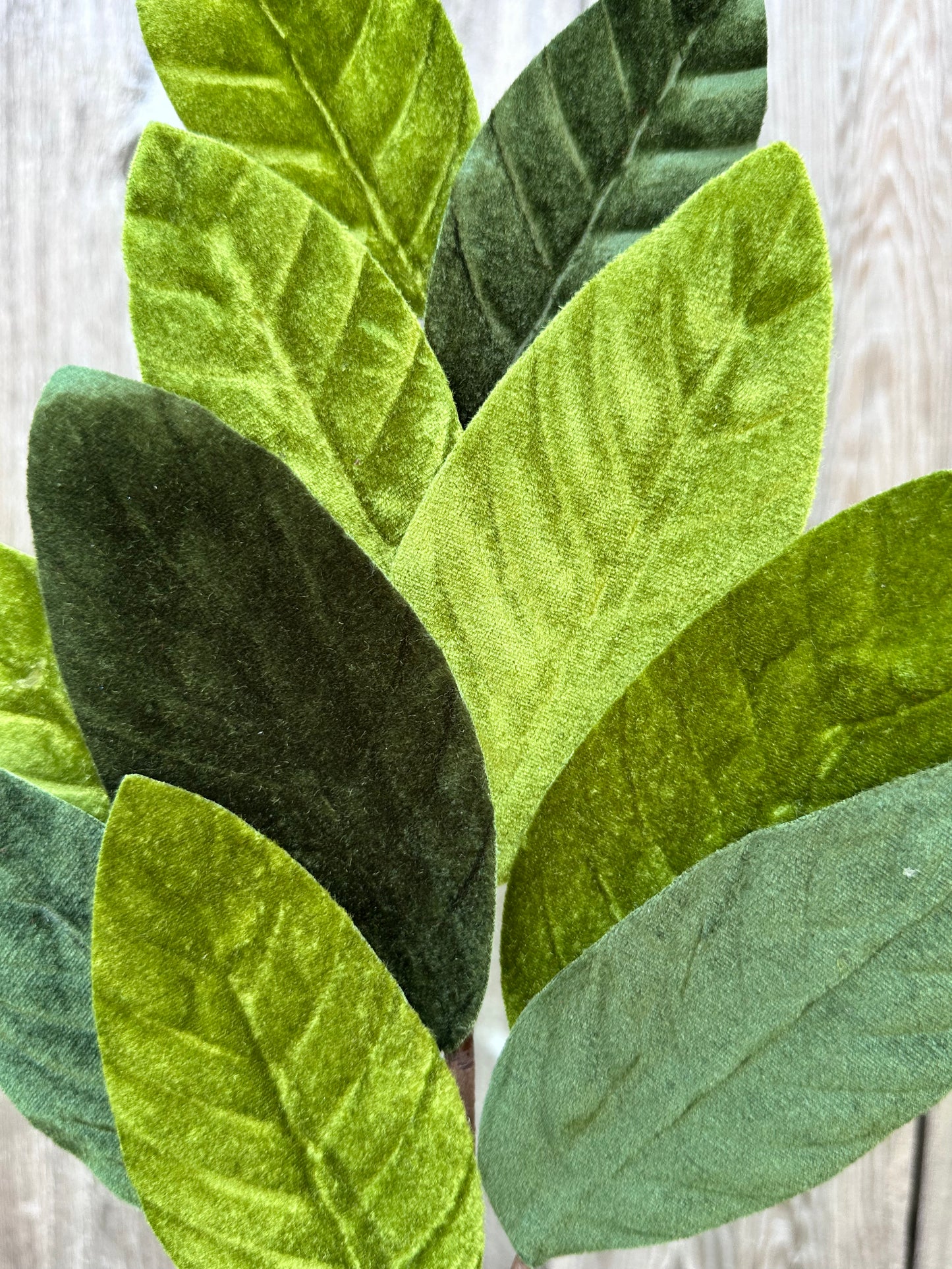 Velvet Magnolia Leaf Spray 84602SP25