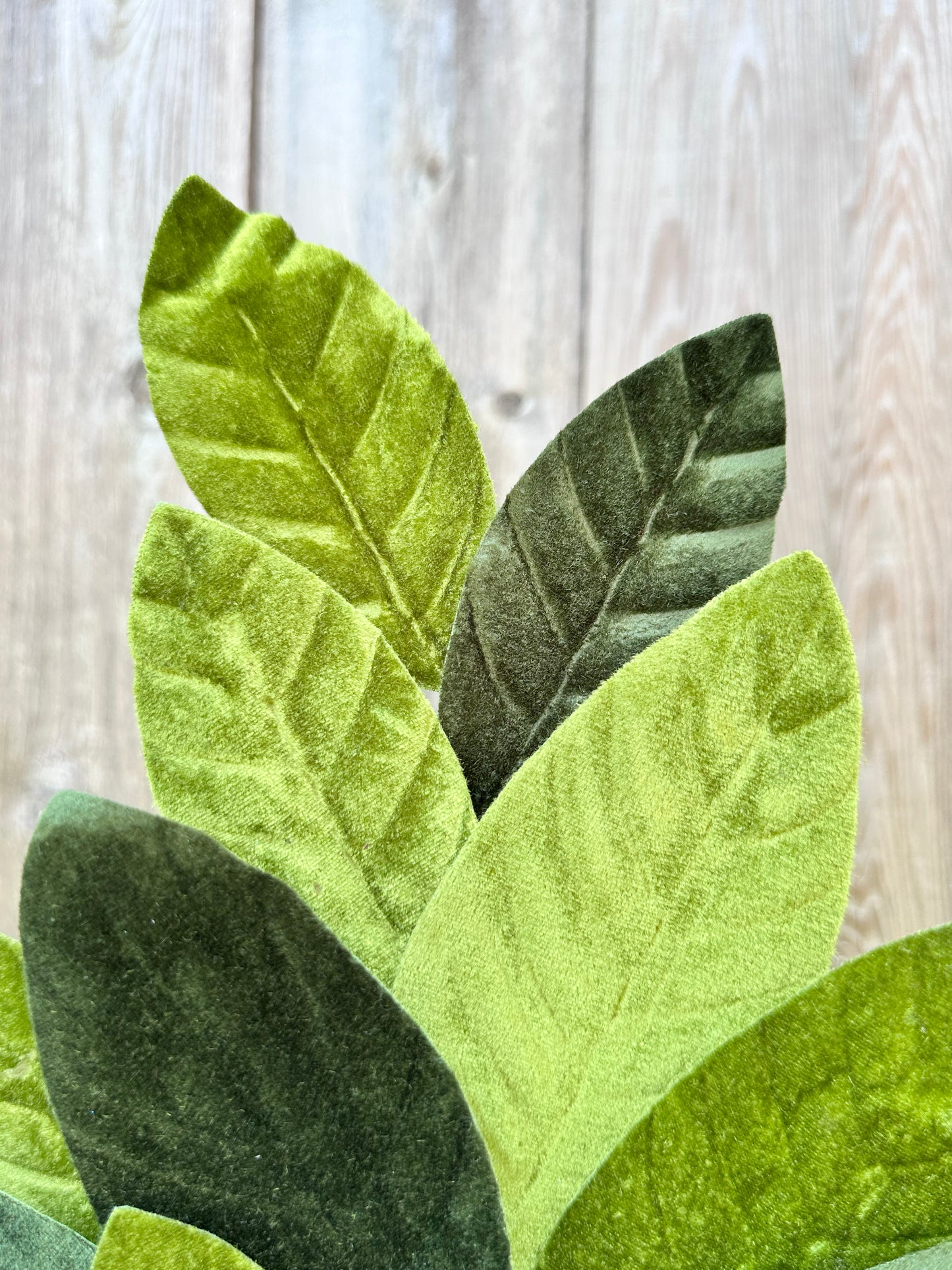 Velvet Magnolia Leaf Spray 84602SP25