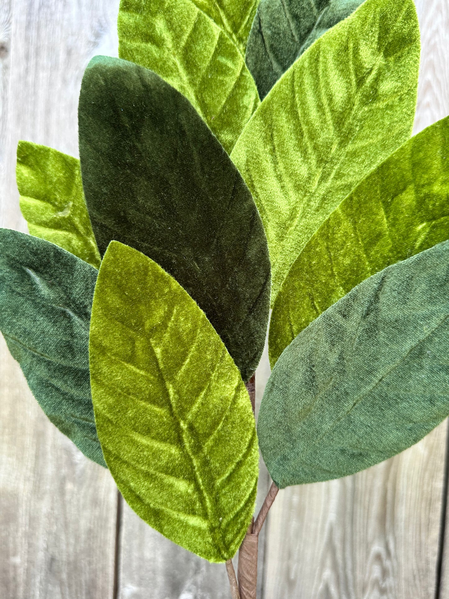 Velvet Magnolia Leaf Spray 84602SP25