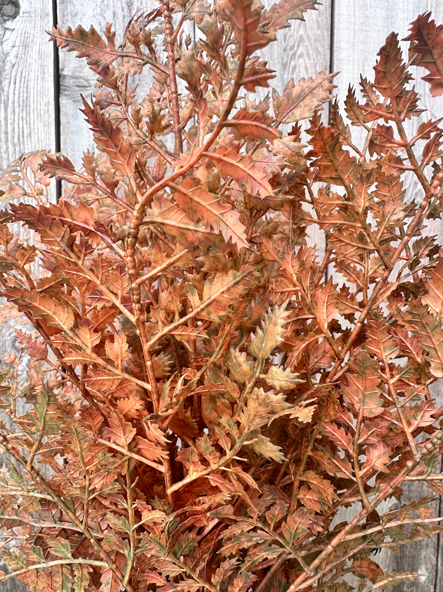 PLASTIC FERN BUSH 85369-UV-AUTYE