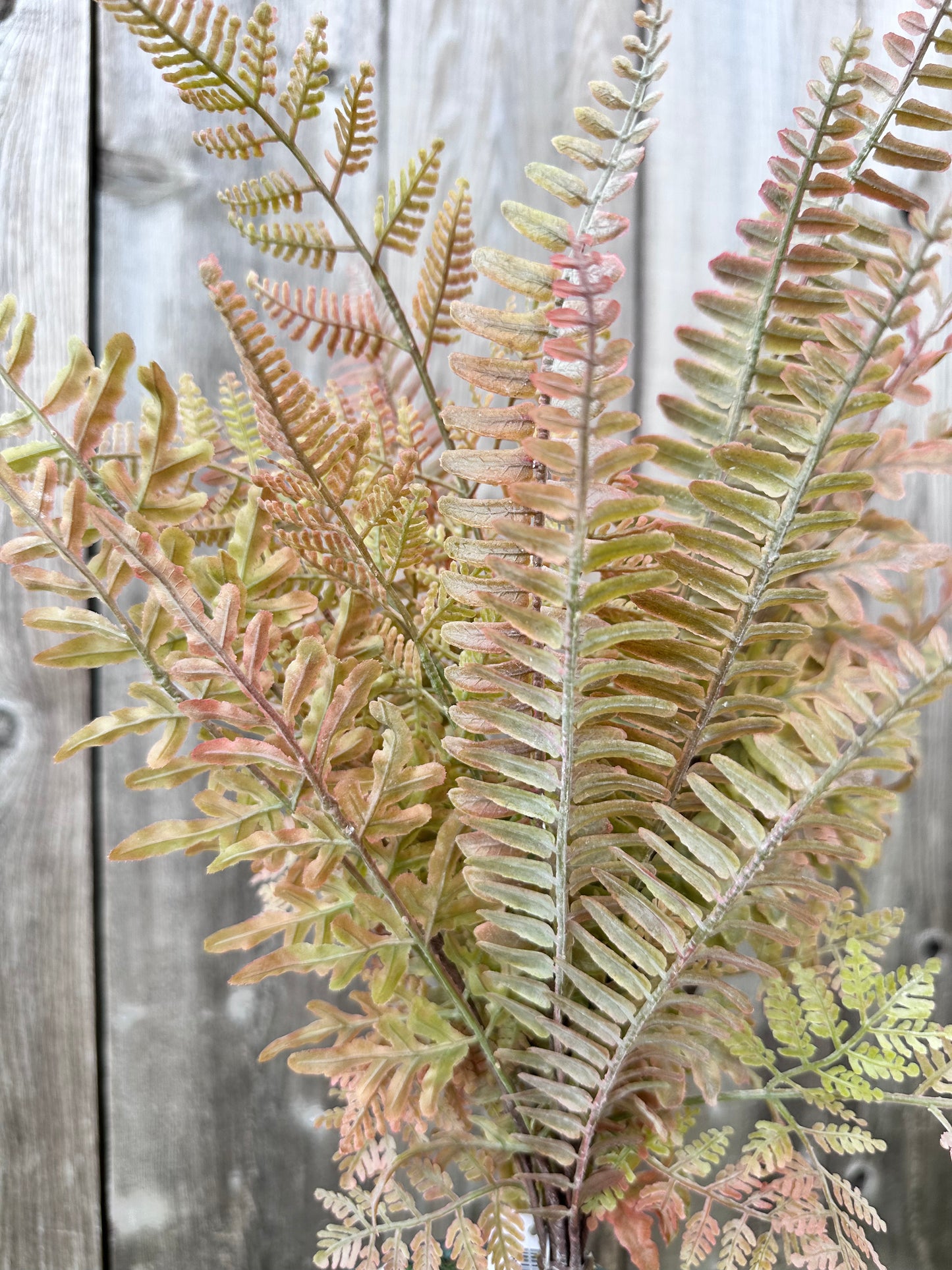 MIXED FERN BUSH 85368-UV-AUTUM