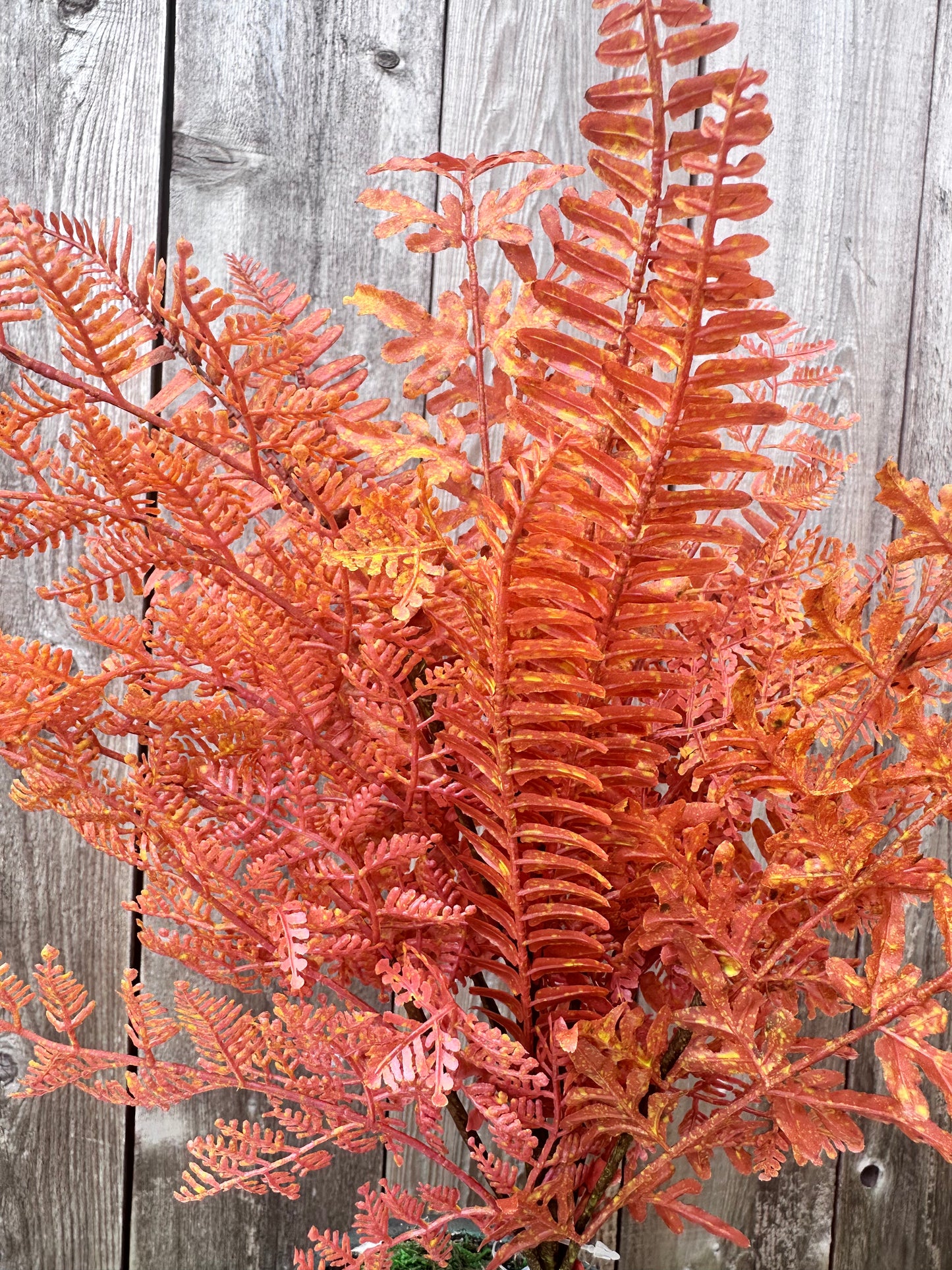 MIXED FERN BUSH 85368-UV-OR