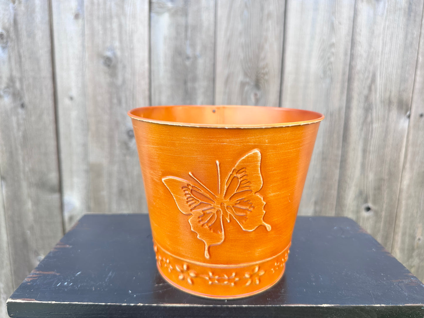 Butterfly Embossed 33832