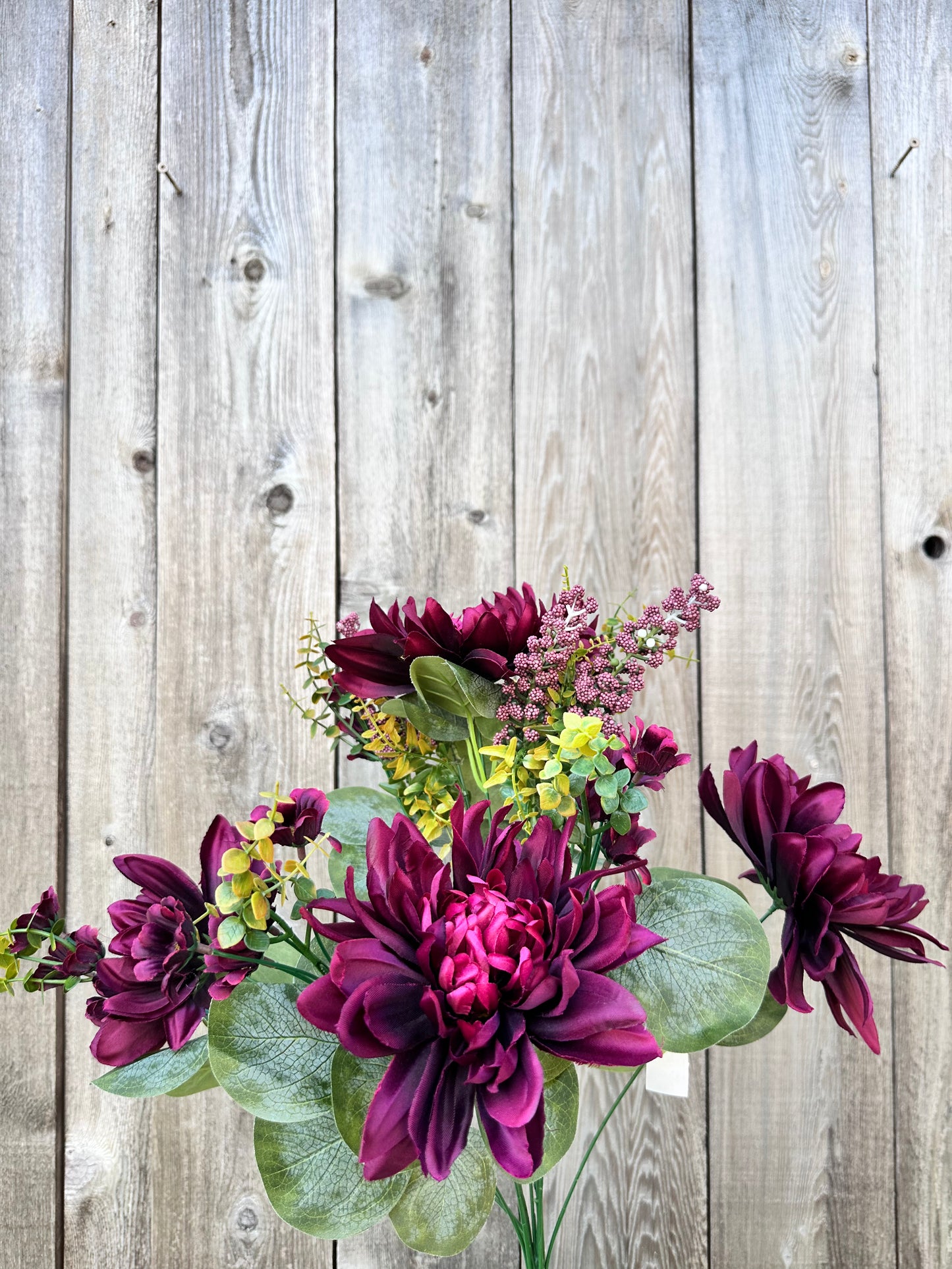 DAHLIA DAISY BUSH 85214-BG