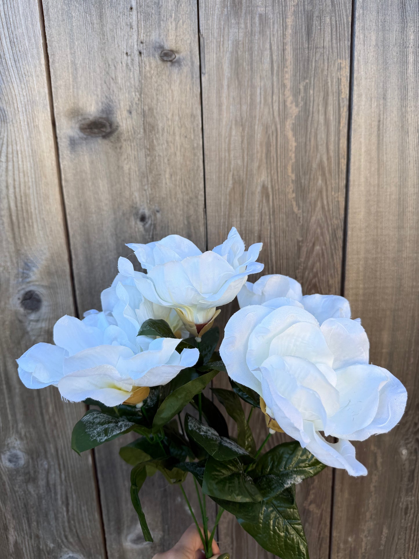 MAGNOLIA BSH W/GLIT CRM 46632