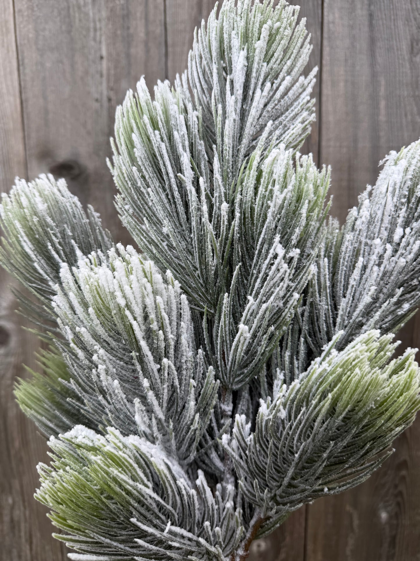 20 IN PINE W SNOW BUSH 85955