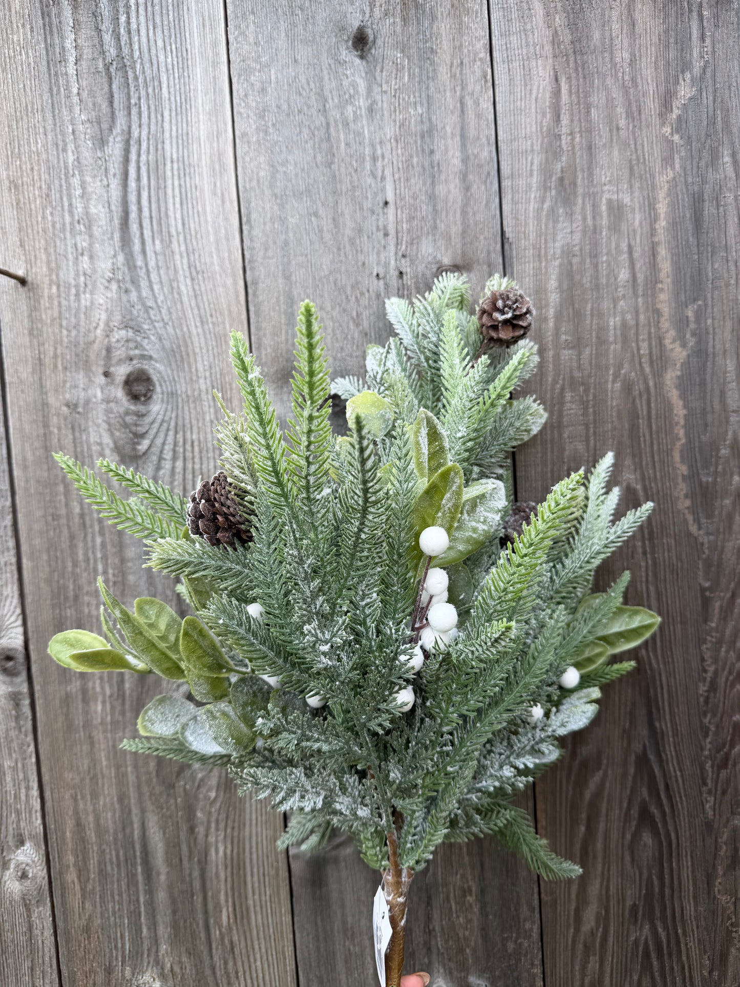 21 IN MIXED PINE PINECONE 85954