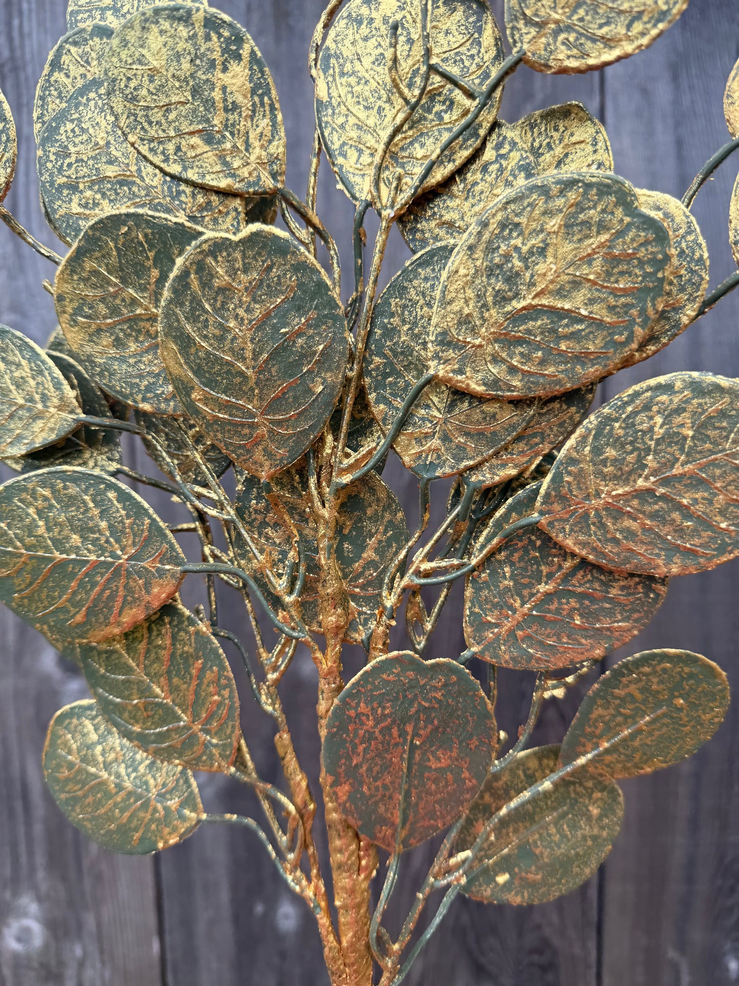 Sage Pilea Spray 41702