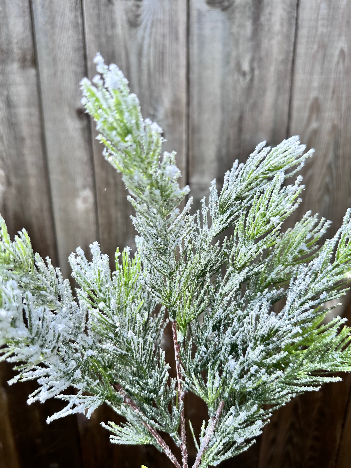 Snow Pine Pick XP551130-068