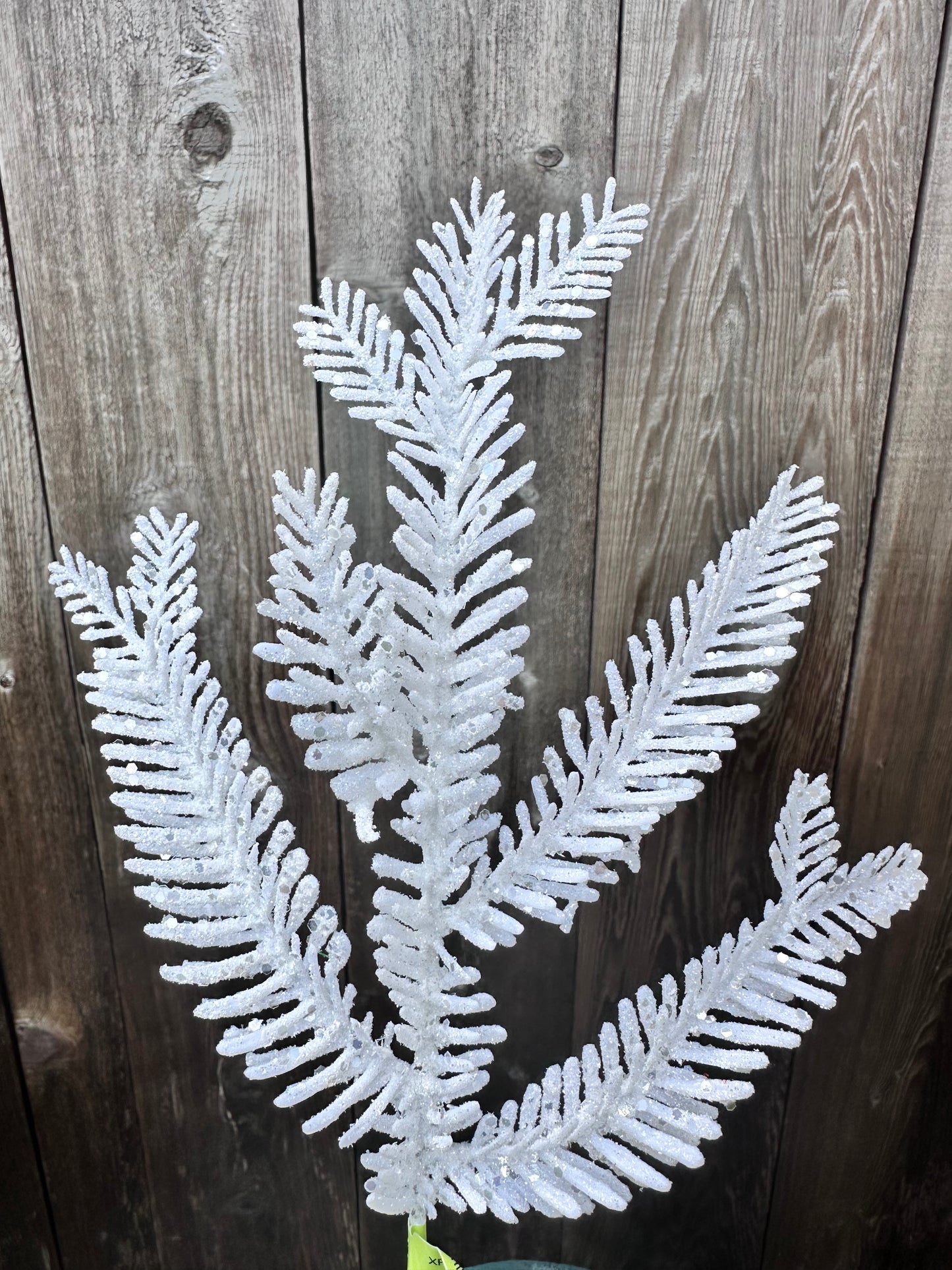 GLITTER FERN CLIP XP55884-003