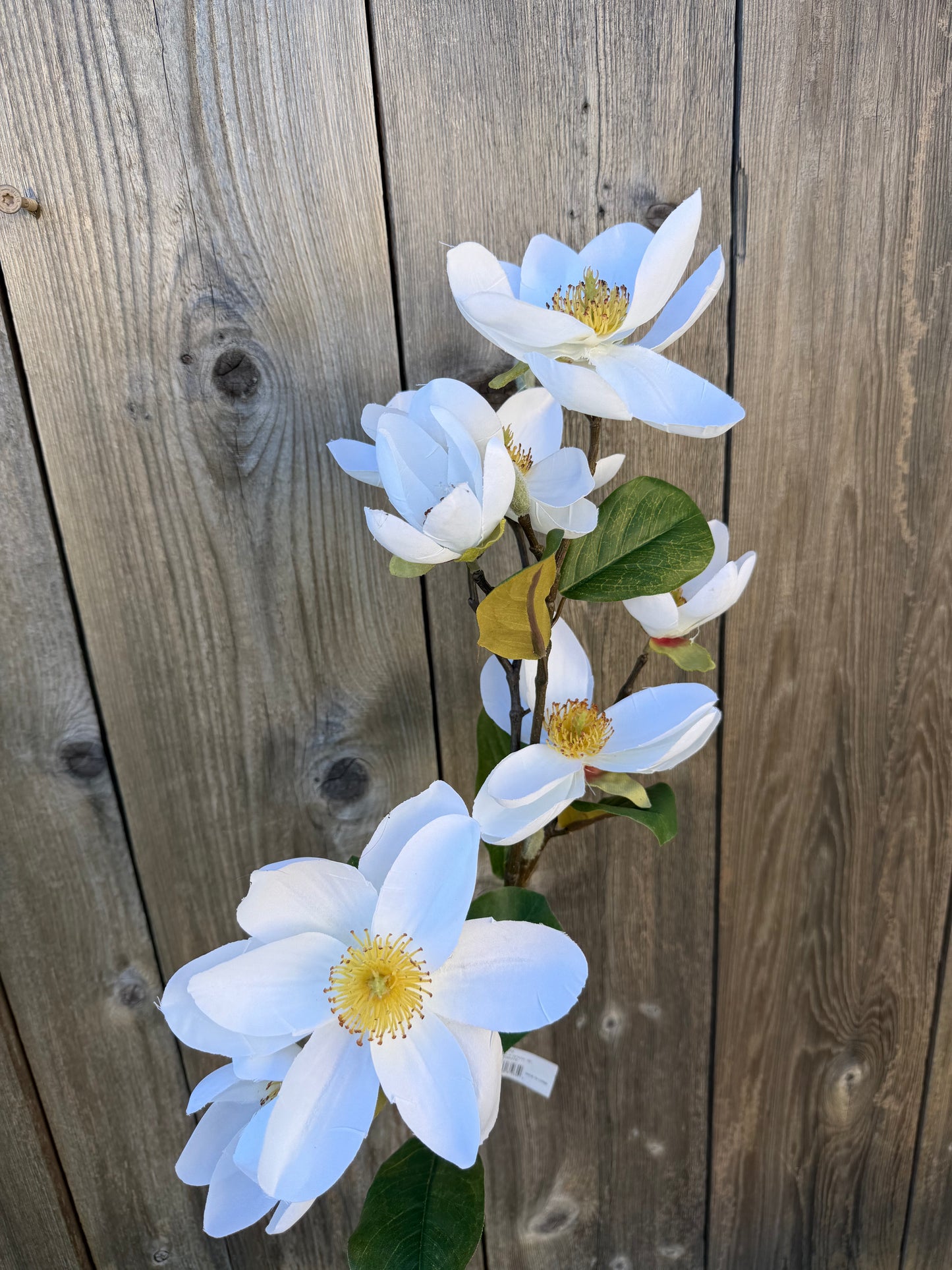 Magnolia spray 36" cream/white 7026-CW