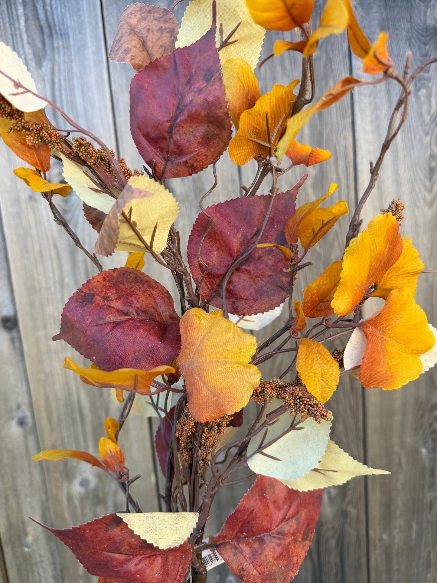 Elm Leaf & Tassel Seed Spray 32" Rust PM1982-RT