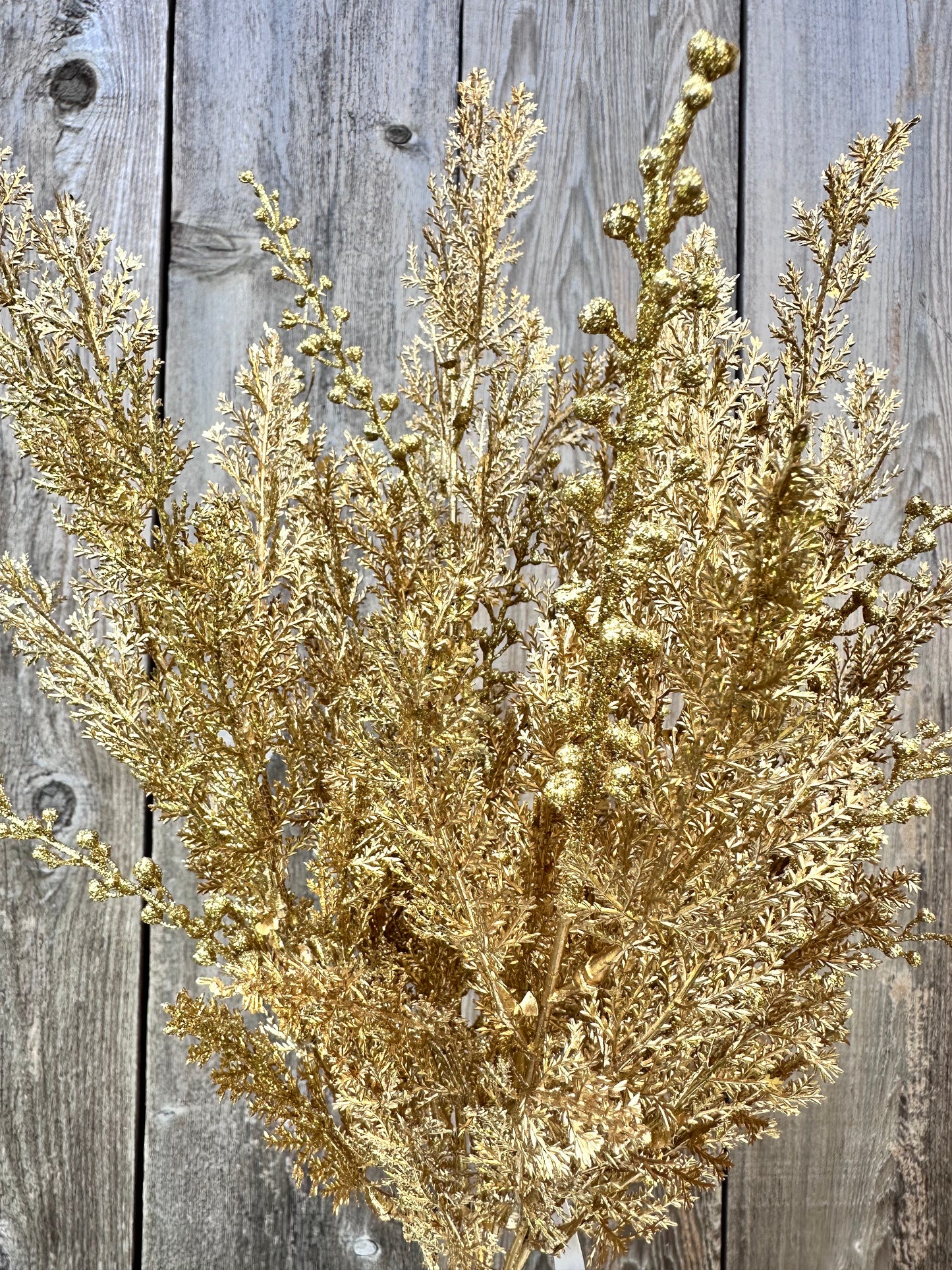 CYPRESS W GLITTER BUSH 84344-GOLD