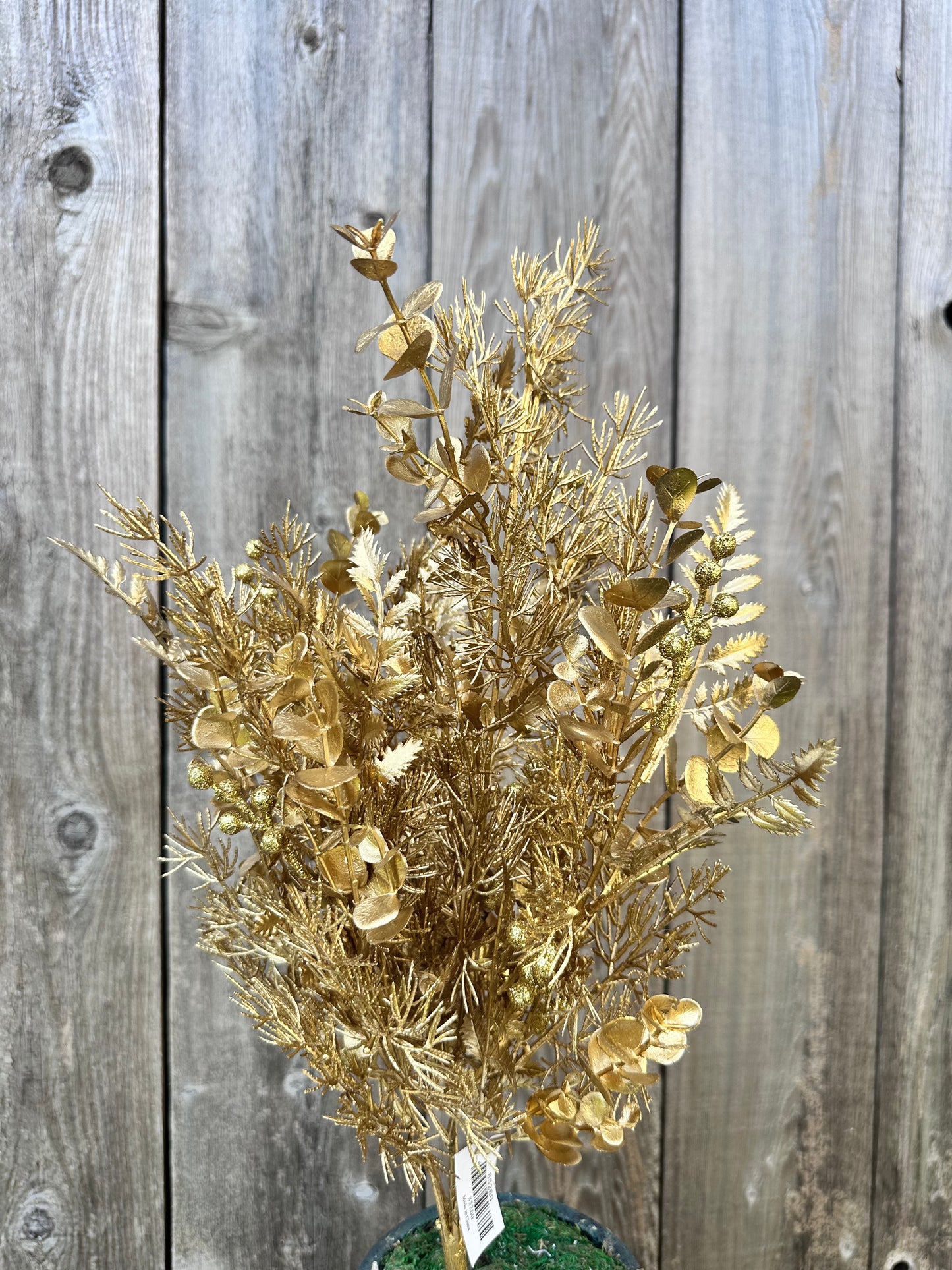 EUCALYPTUS CEDAR FERN 85260