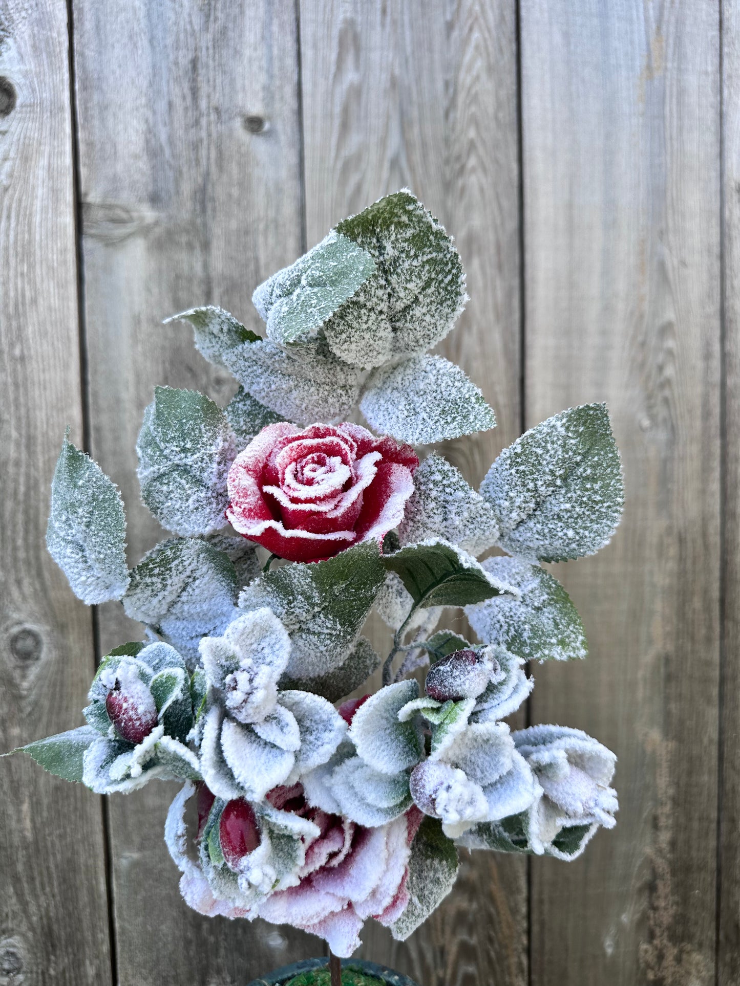 ROSE BERRY SPRAY 83754-RD