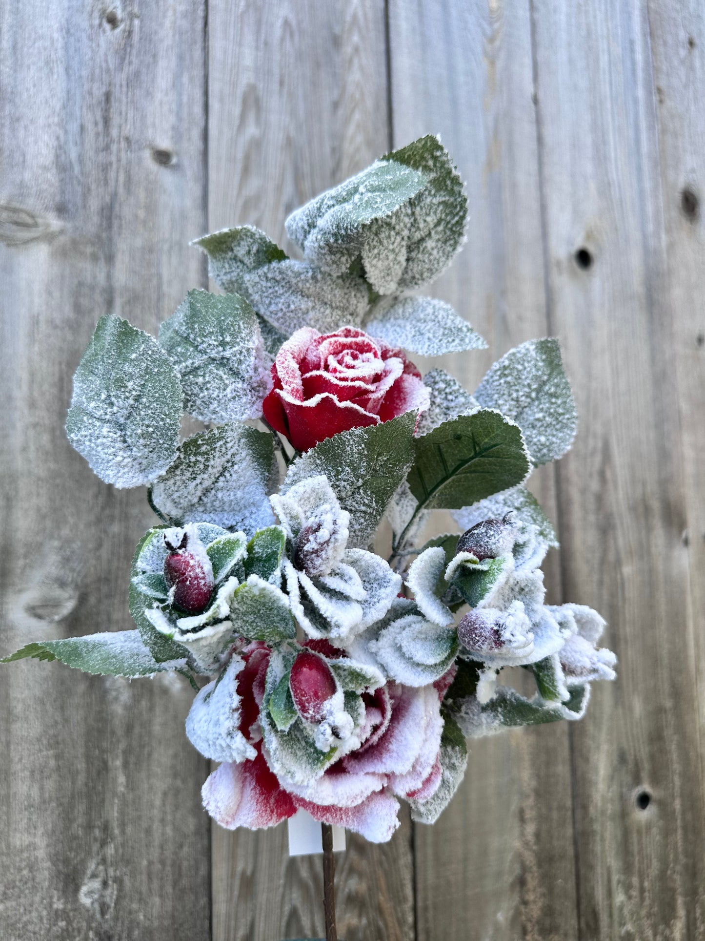 ROSE BERRY SPRAY 83754-RD