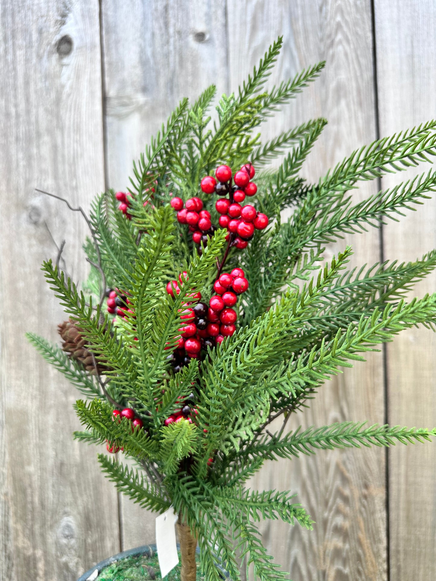 20.5 IN PINE BERRY CONE BUSH 32183