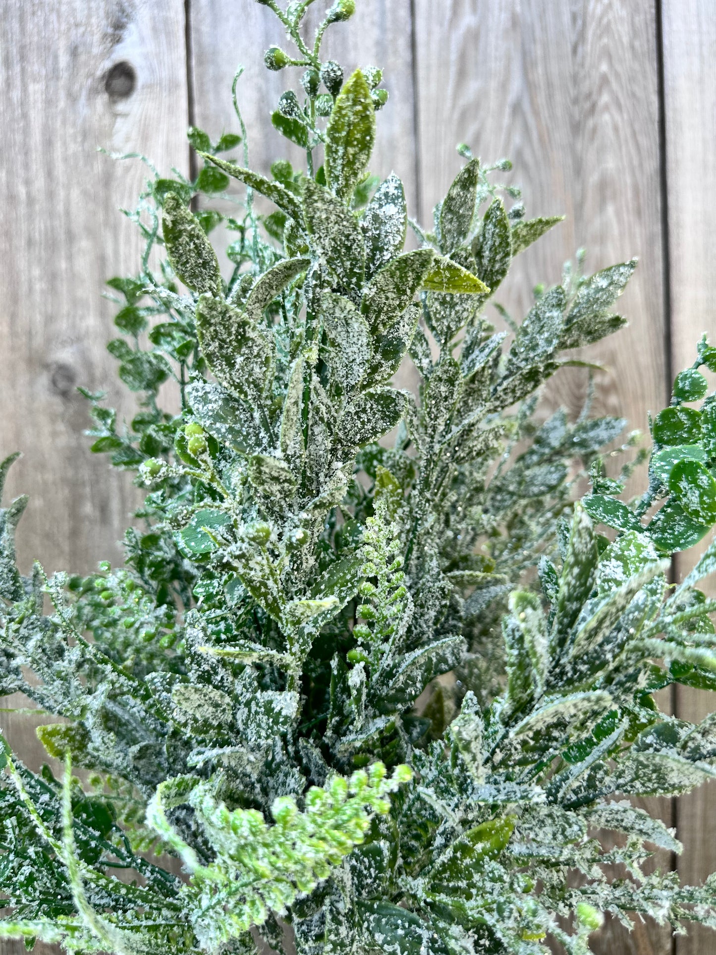 MIXED GREENERY W ICED 85265