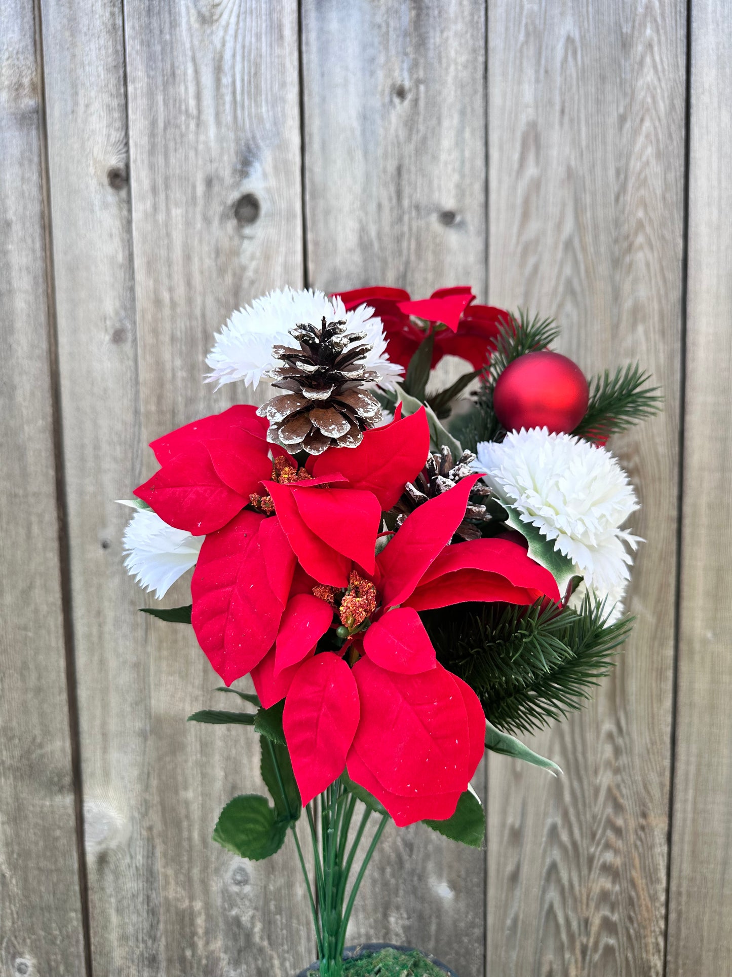 MIXED POINSETTIA 83585