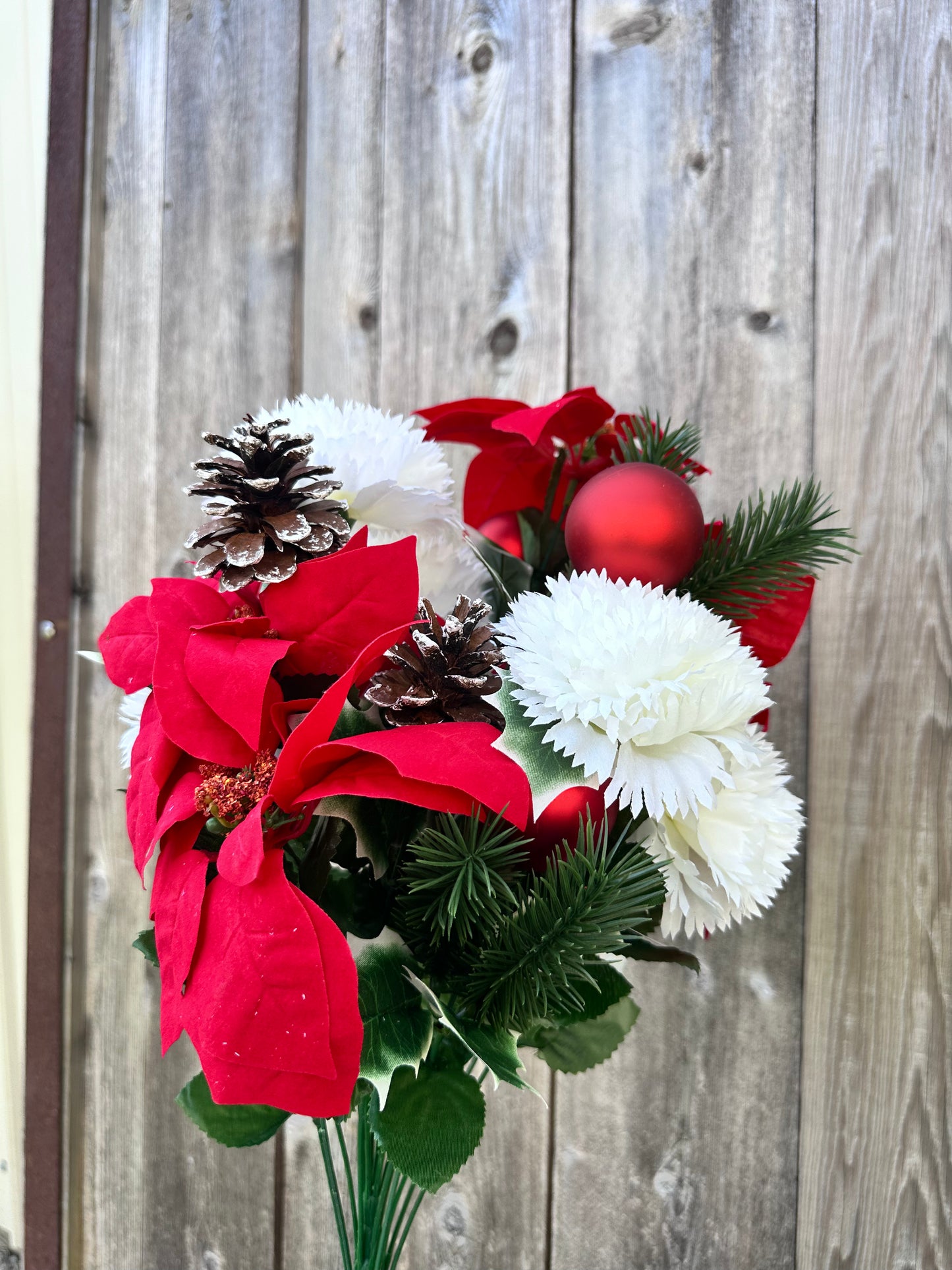MIXED POINSETTIA 83585